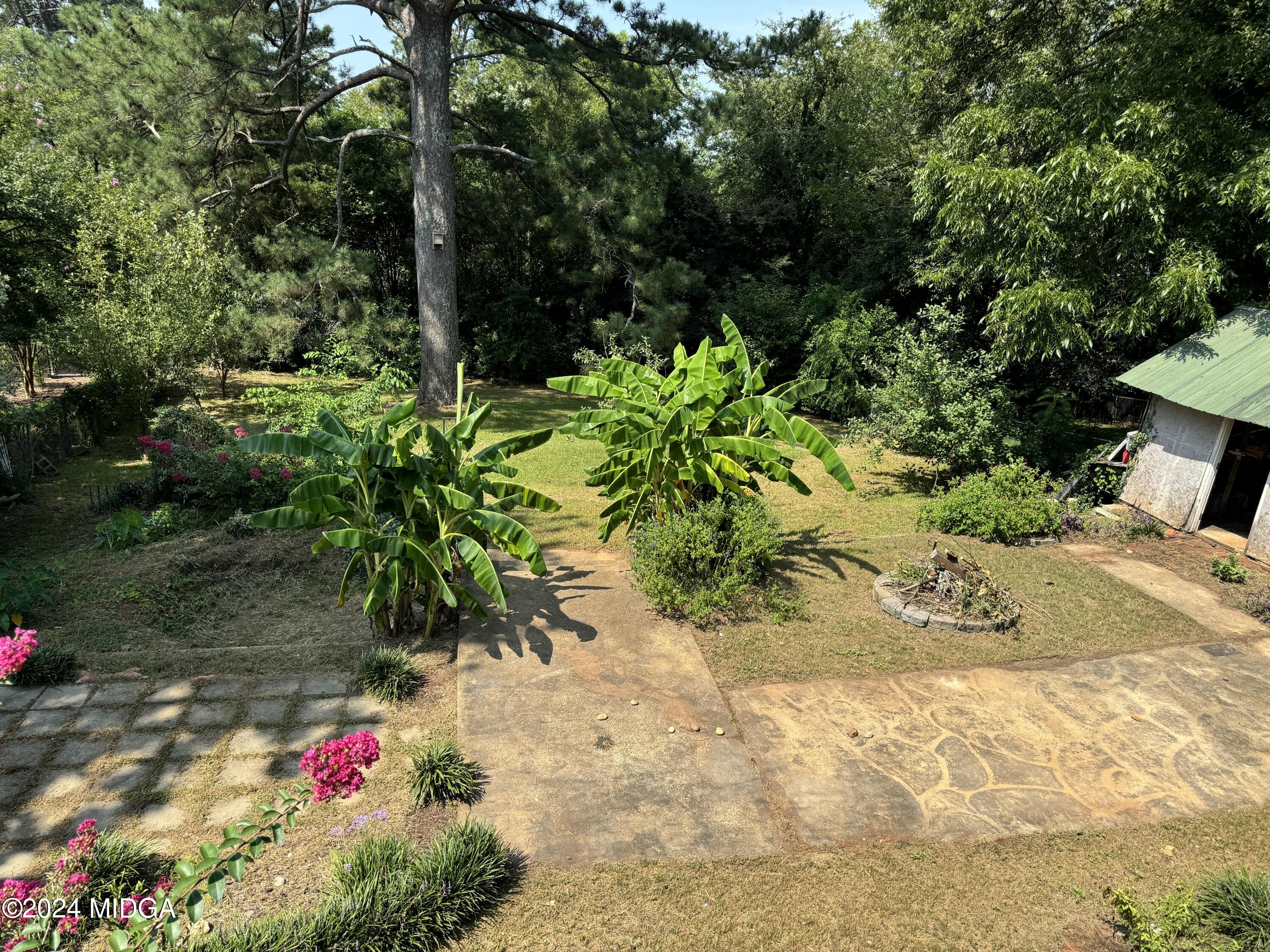 910 Laurel Avenue Macon, GA 31211 - Photo 22 of 41 a view of a flower arrangement in backyard