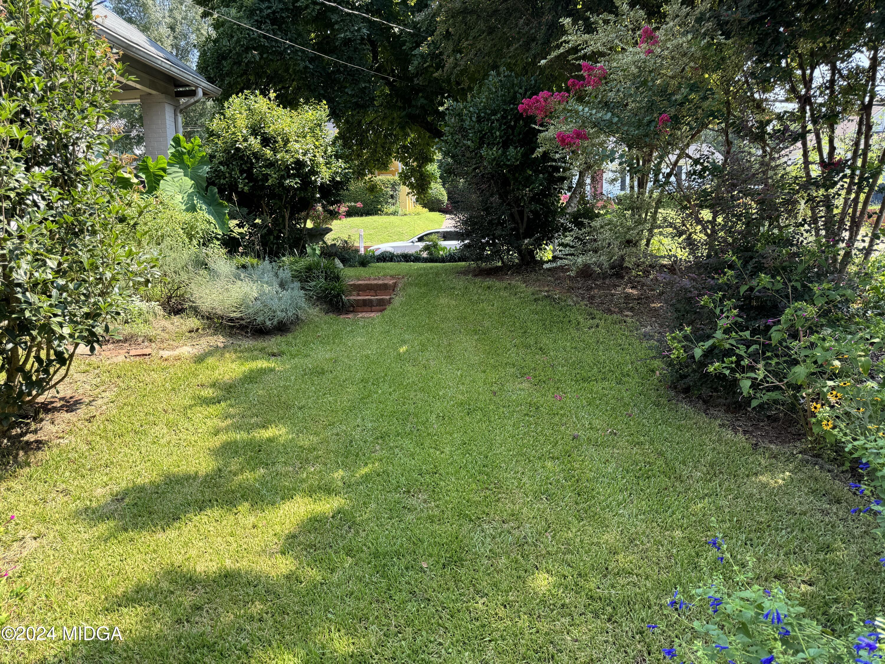 910 Laurel Avenue Macon, GA 31211 - Photo 31 of 41 a view of a garden with a tree