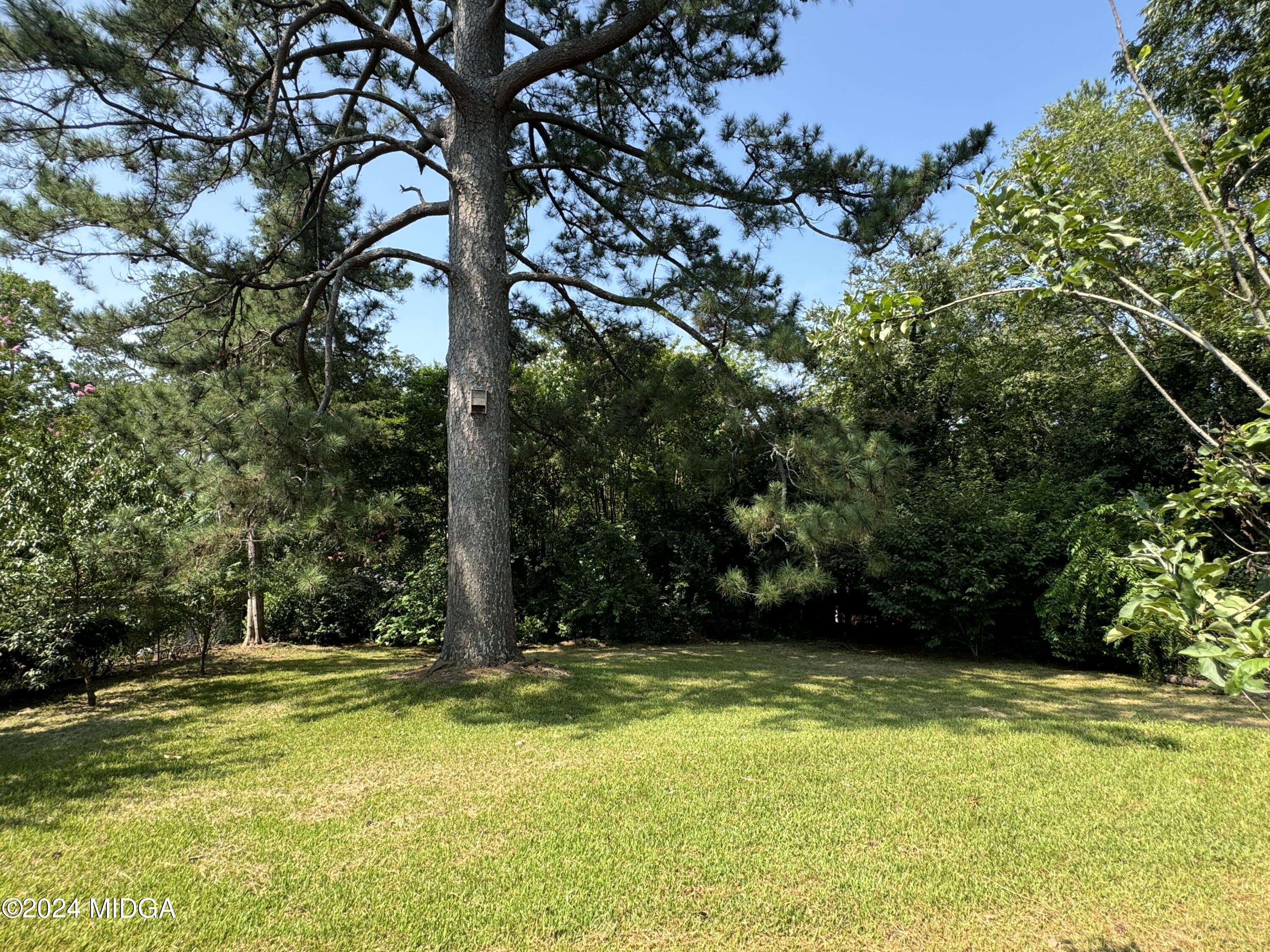 910 Laurel Avenue Macon, GA 31211 - Photo 32 of 41 a view of swimming pool