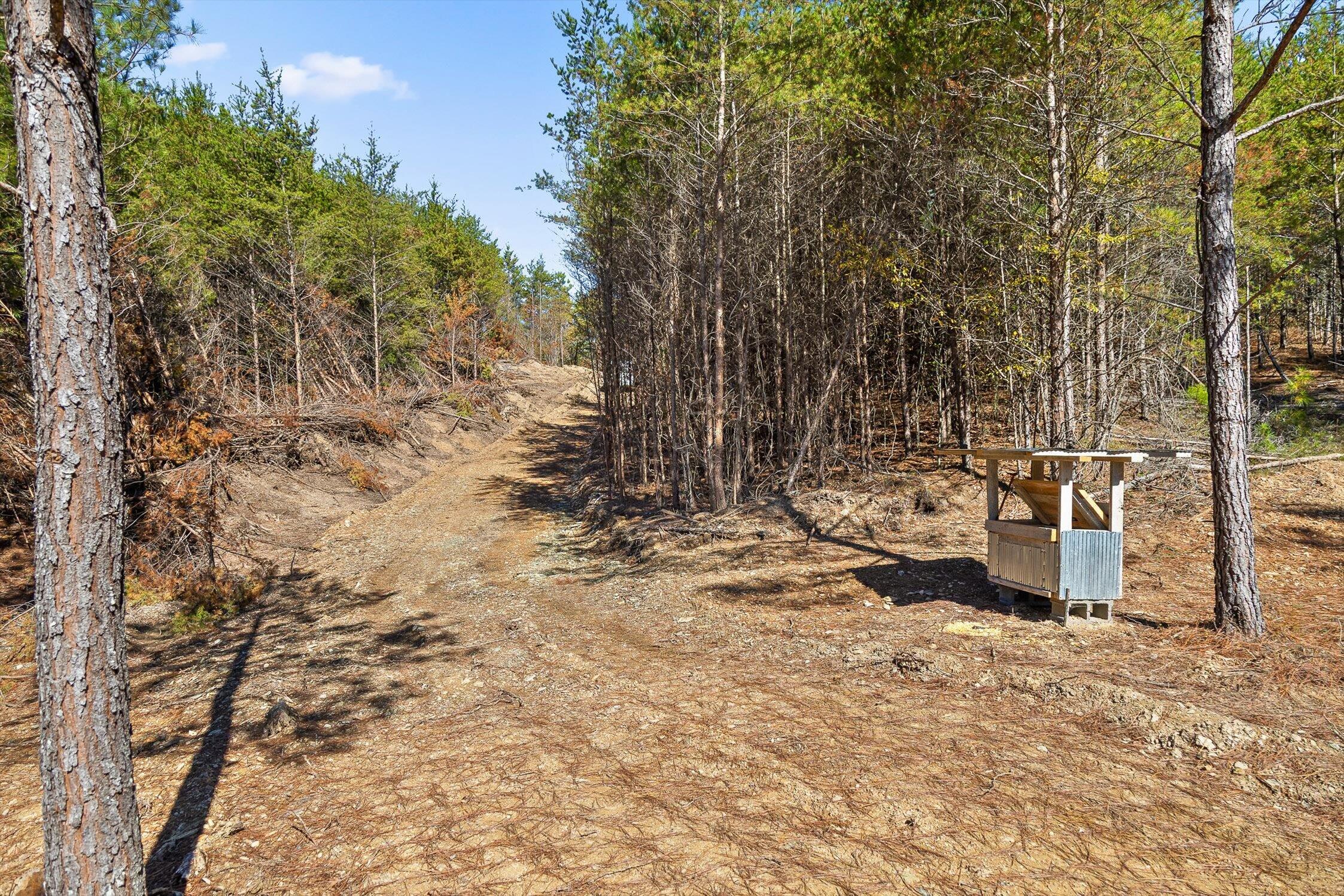 92-2 Conniston Road Chatsworth, GA 30705 - Photo 12 of 33 04-Conniston Tract 4a-4