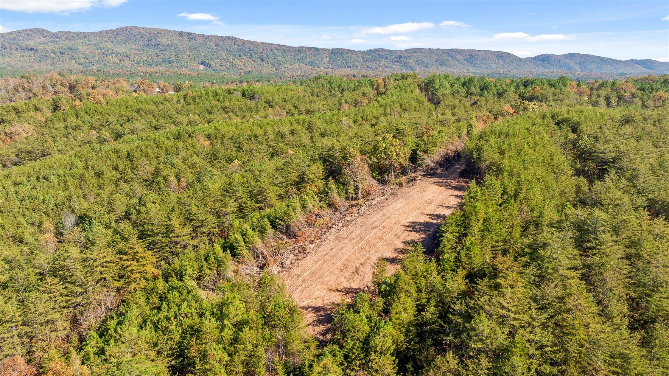 92-2 Conniston Road Chatsworth, GA 30705 - Photo 16 of 33 Tract 92