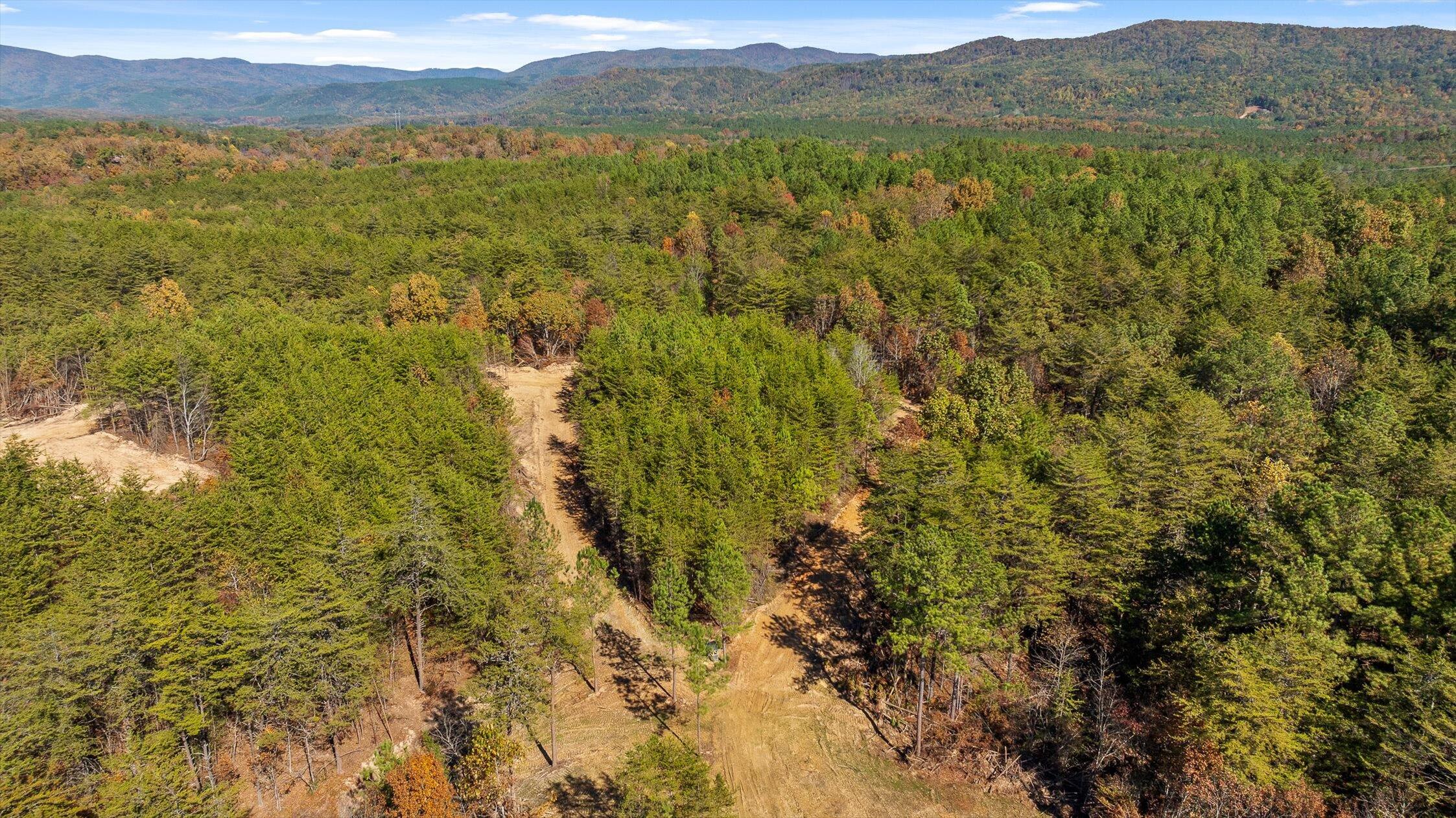 92-2 Conniston Road Chatsworth, GA 30705 - Photo 20 of 33 21-Conniston Tract 4a-21