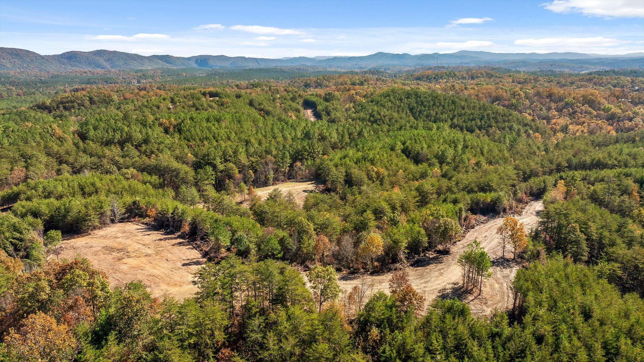 92-2 Conniston Road Chatsworth, GA 30705 - Photo 22 of 33 19-Conniston Tract 4a-19