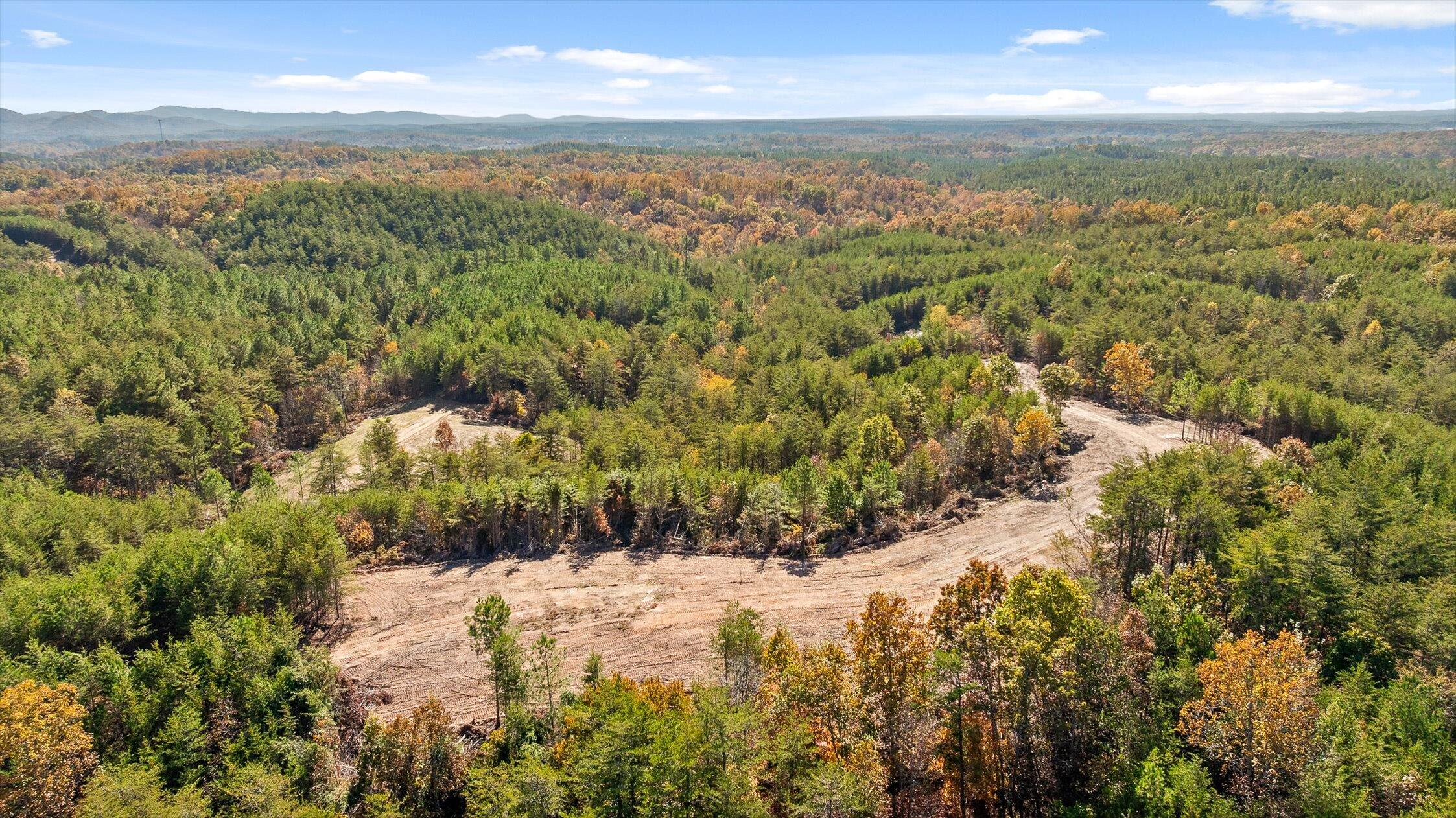 92-2 Conniston Road Chatsworth, GA 30705 - Photo 23 of 33 18-Conniston Tract 4a-18