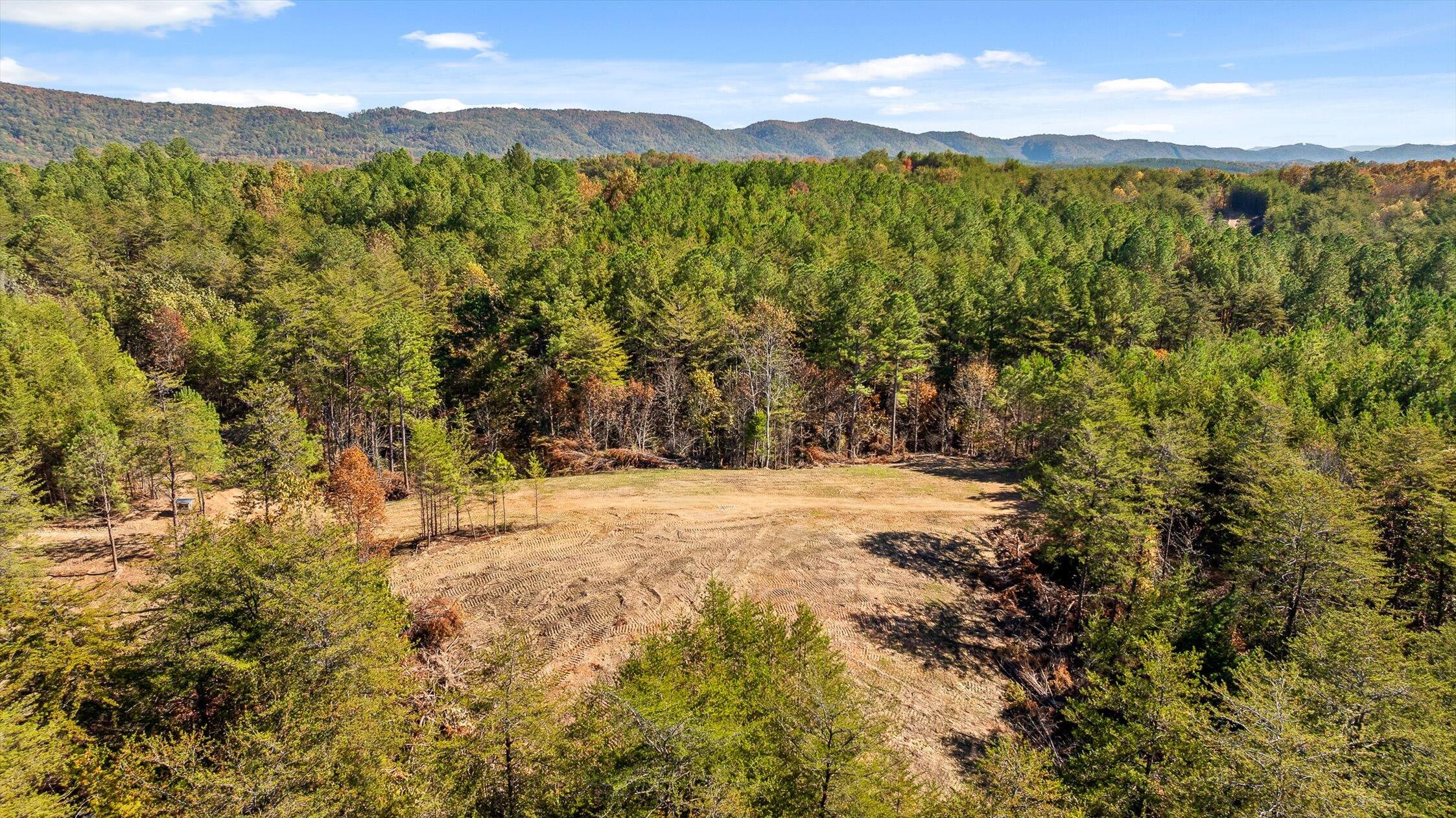 92-2 Conniston Road Chatsworth, GA 30705 - Photo 27 of 33 14-Conniston Tract 4a-14