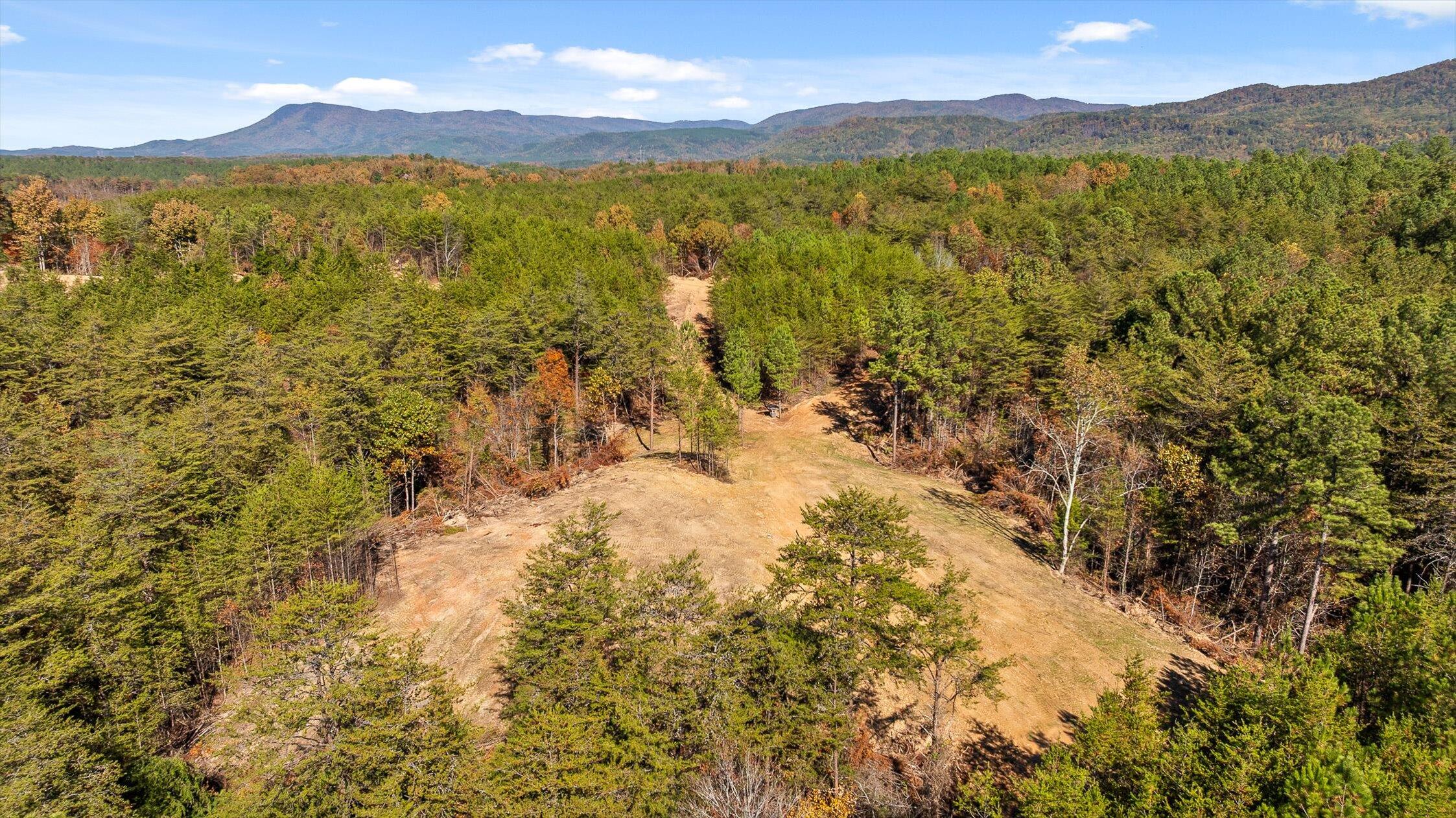 92-2 Conniston Road Chatsworth, GA 30705 - Photo 29 of 33 12-Conniston Tract 4a-12