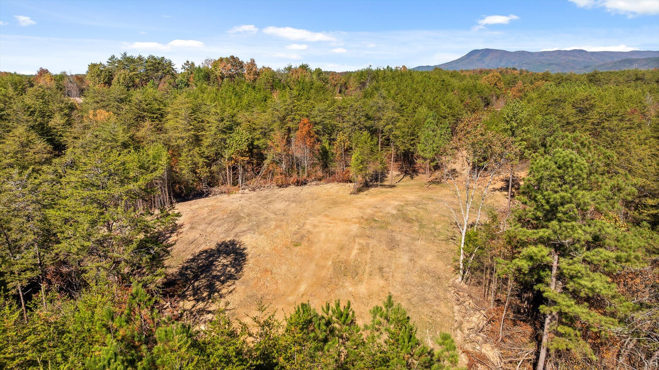 92-2 Conniston Road Chatsworth, GA 30705 - Photo 30 of 33 11-Conniston Tract 4a-11