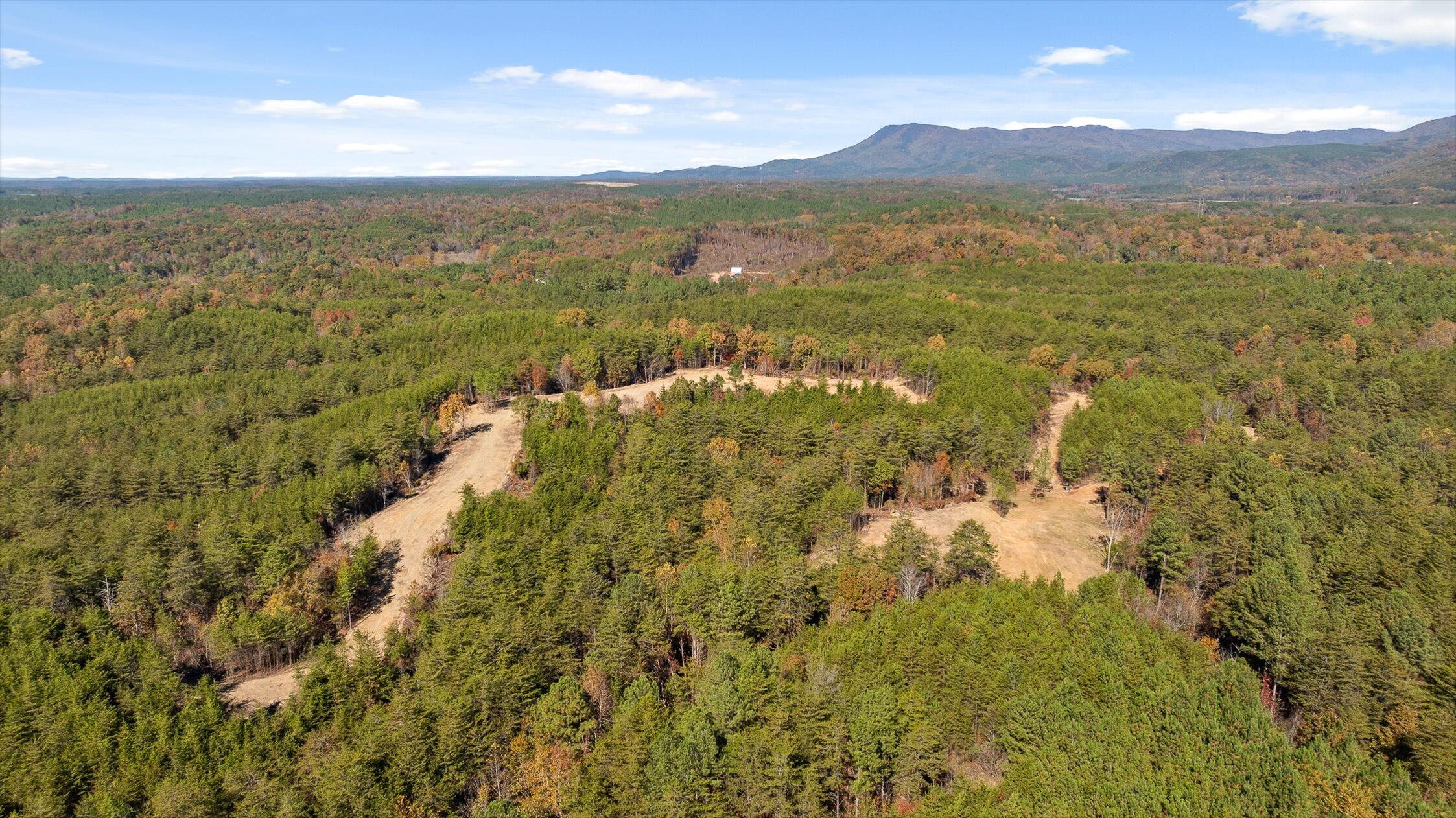 92-2 Conniston Road Chatsworth, GA 30705 - Photo 4 of 33 Tract 92