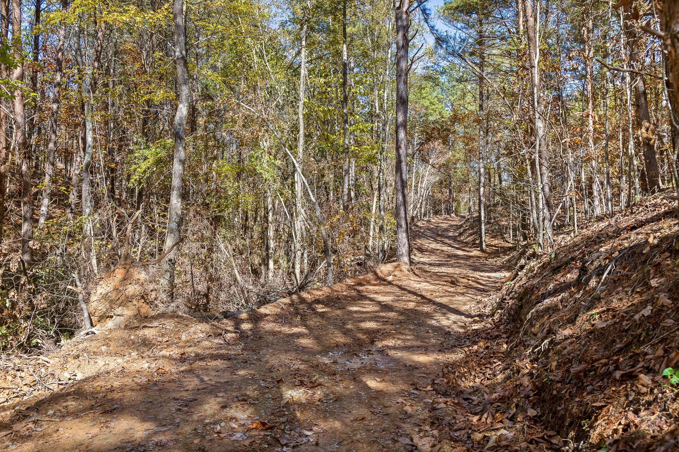 92-2 Conniston Road Chatsworth, GA 30705 - Photo 5 of 33 Tract 92