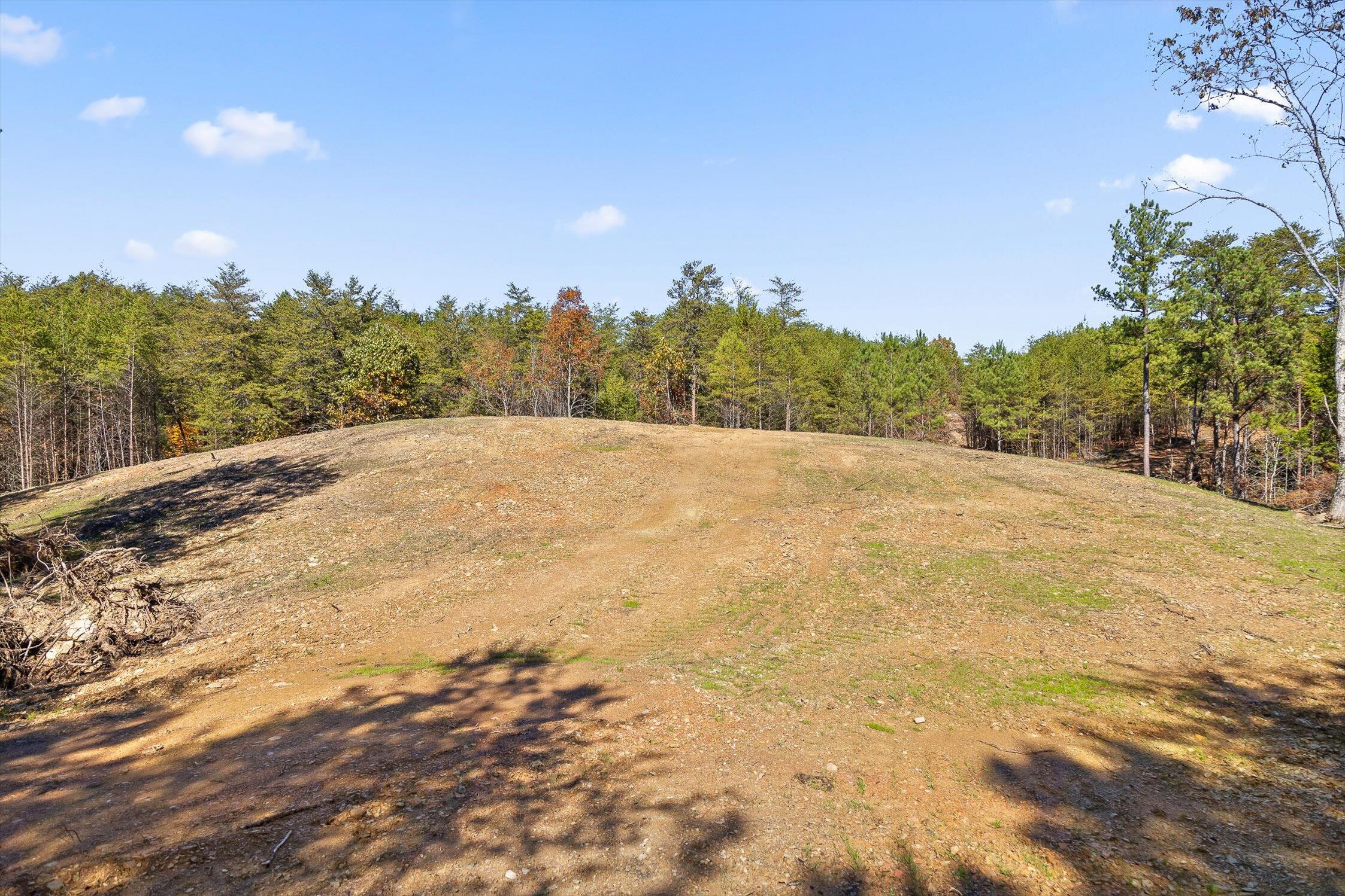 92-2 Conniston Road Chatsworth, GA 30705 - Photo 7 of 33 02-Conniston Tract 4a-2