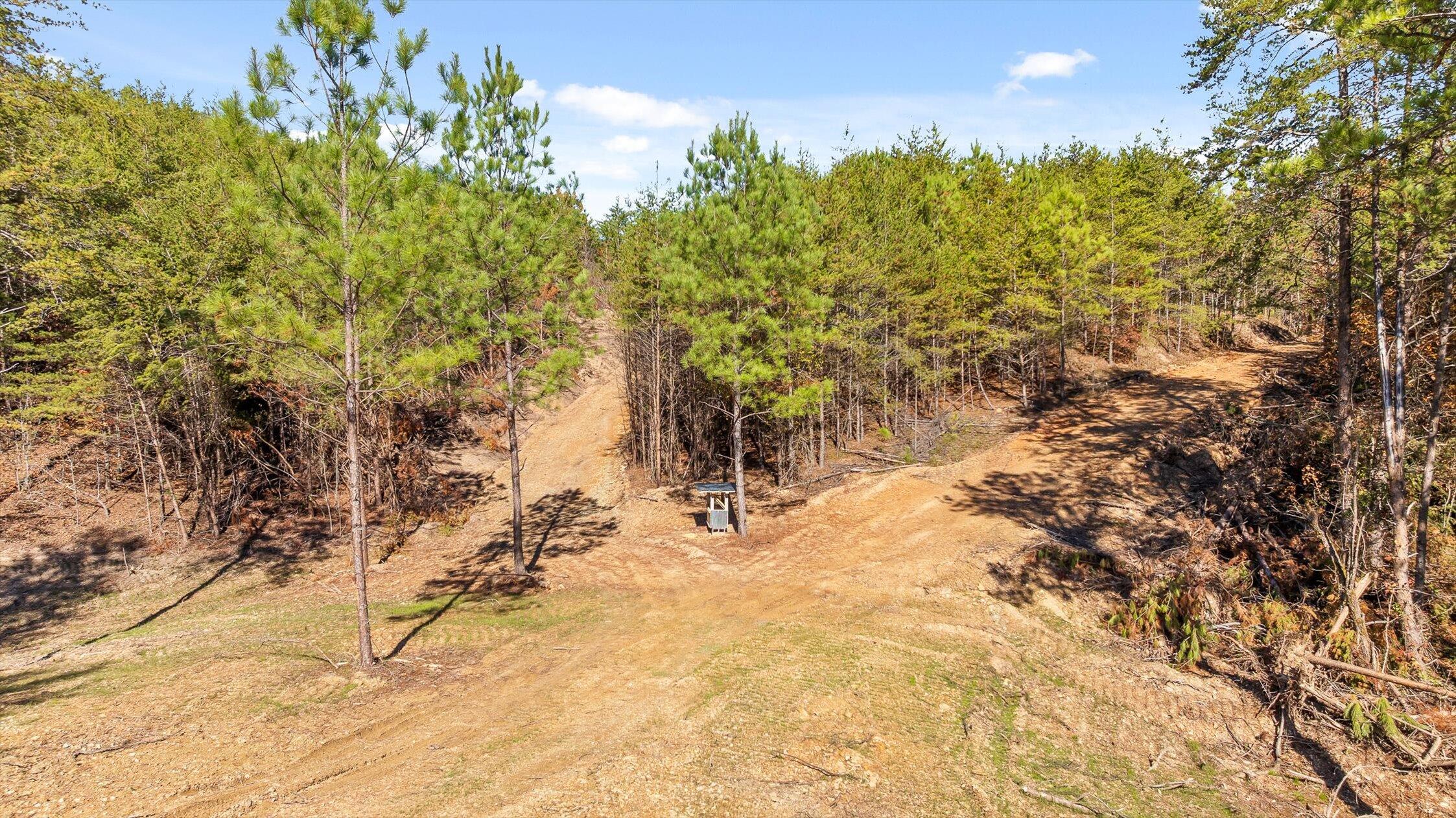 92-2 Conniston Road Chatsworth, GA 30705 - Photo 8 of 33 Tract 92