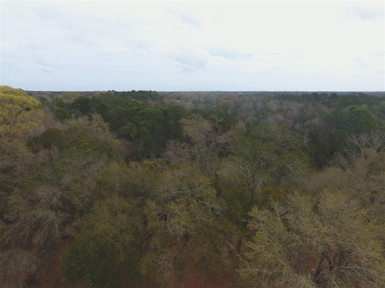 7900 Chellie Road Pensacola, FL 32526 - Photo 13 of 22 Gallery Image 13