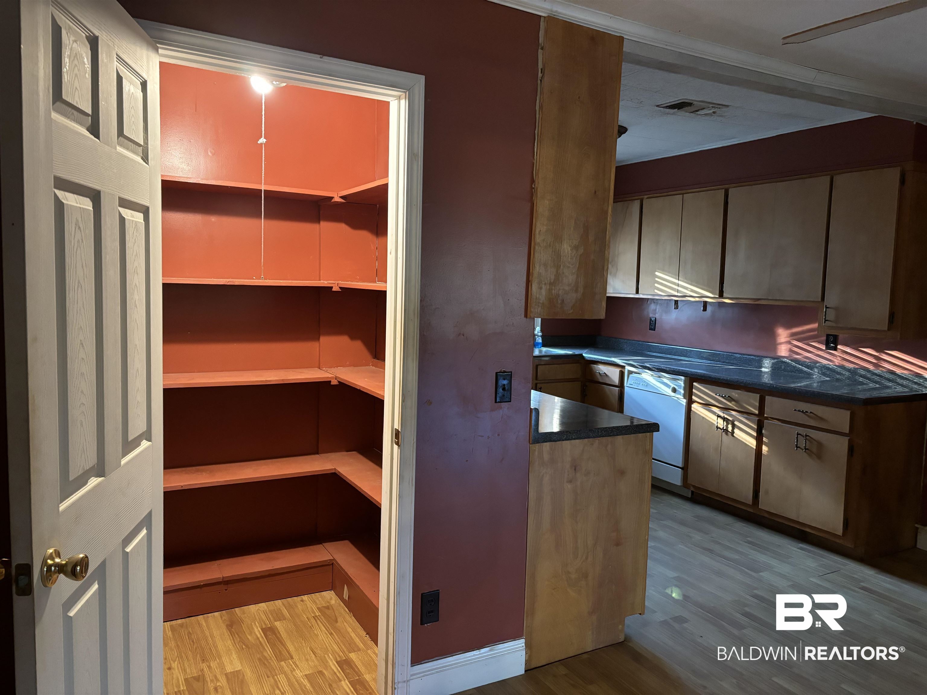 17495 County Road 48 Robertsdale, AL 36567 - Photo 22 of 37 View of pantry
