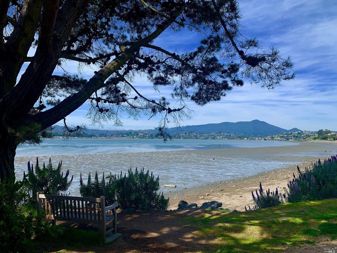 136 Reed Boulevard Mill Valley, CA 94941 - Photo 24 of 25