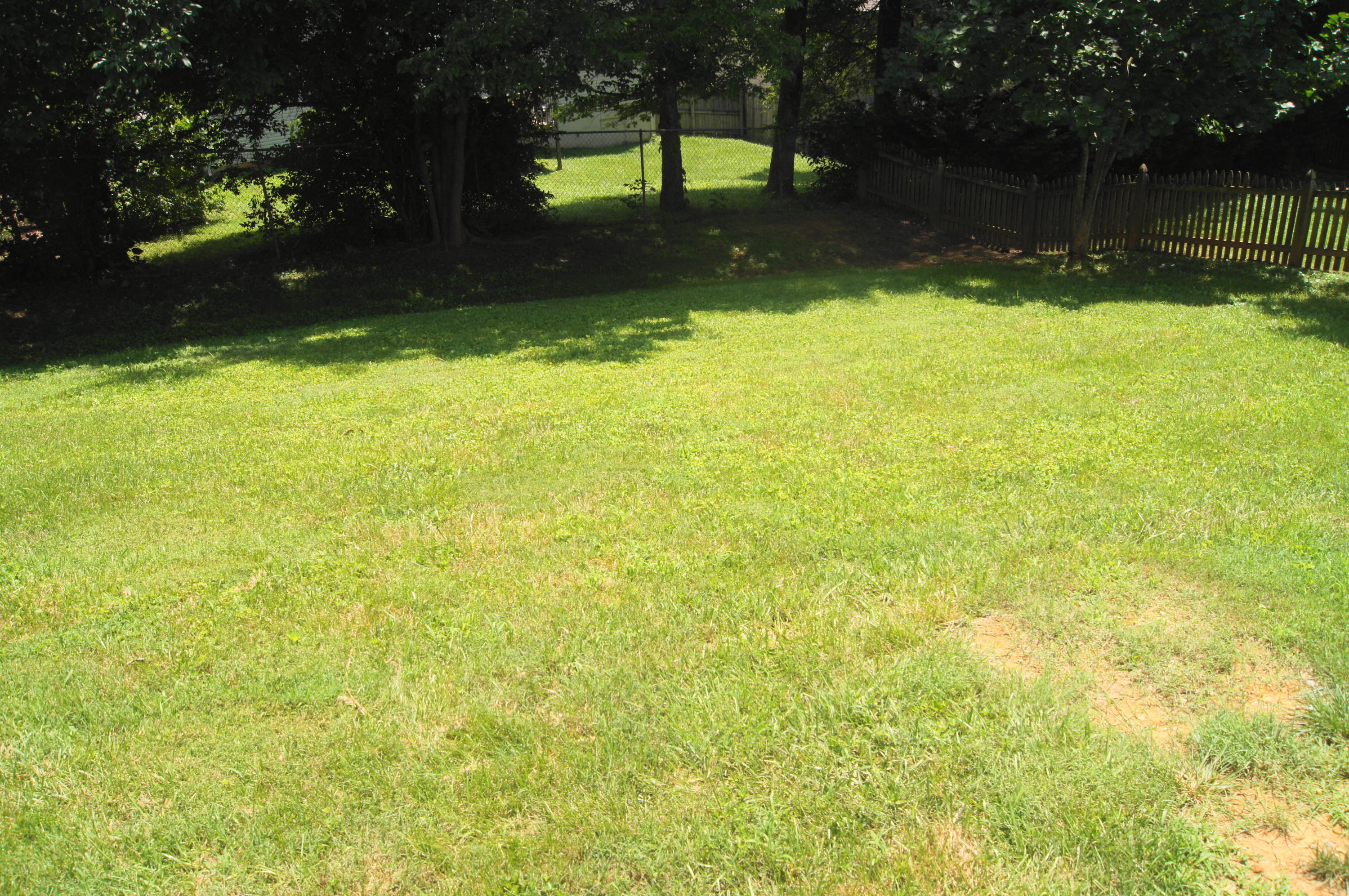 712 Station View Road Knoxville, TN 37919 - Photo 20 of 27 Backyard 1