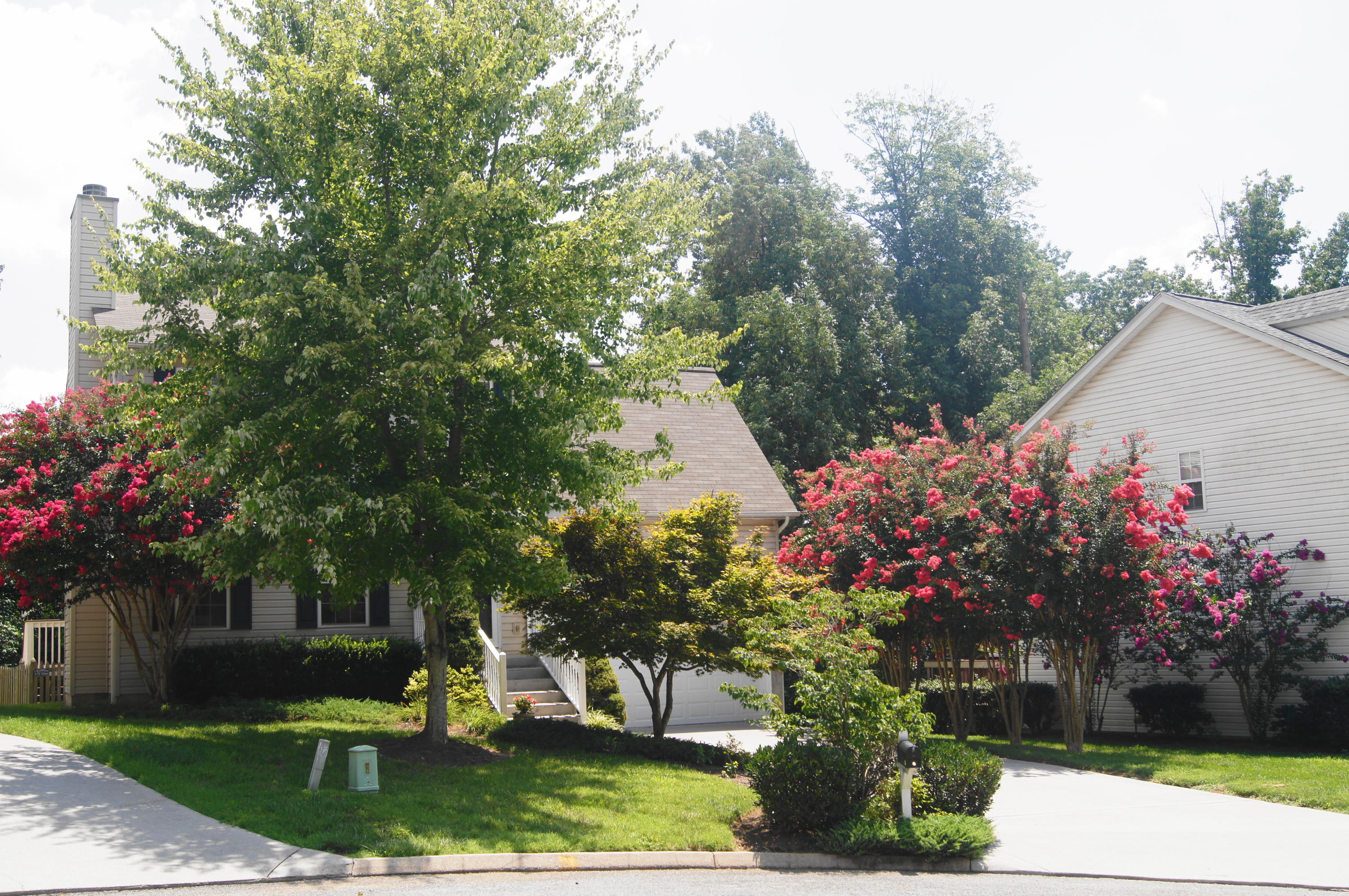 712 Station View Road Knoxville, TN 37919 - Photo 3 of 27 Front of House 3