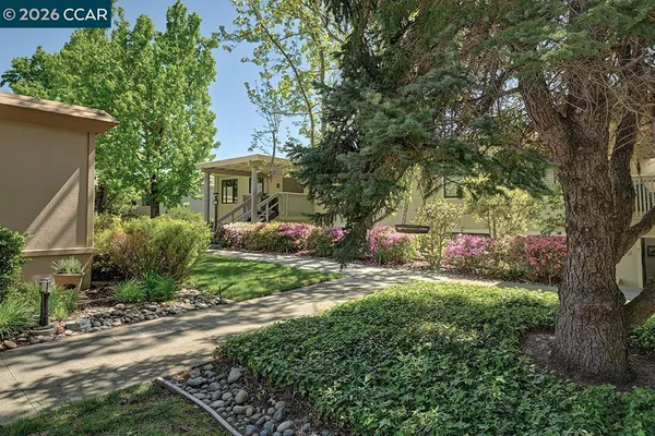 a backyard of a house with plants and large tree