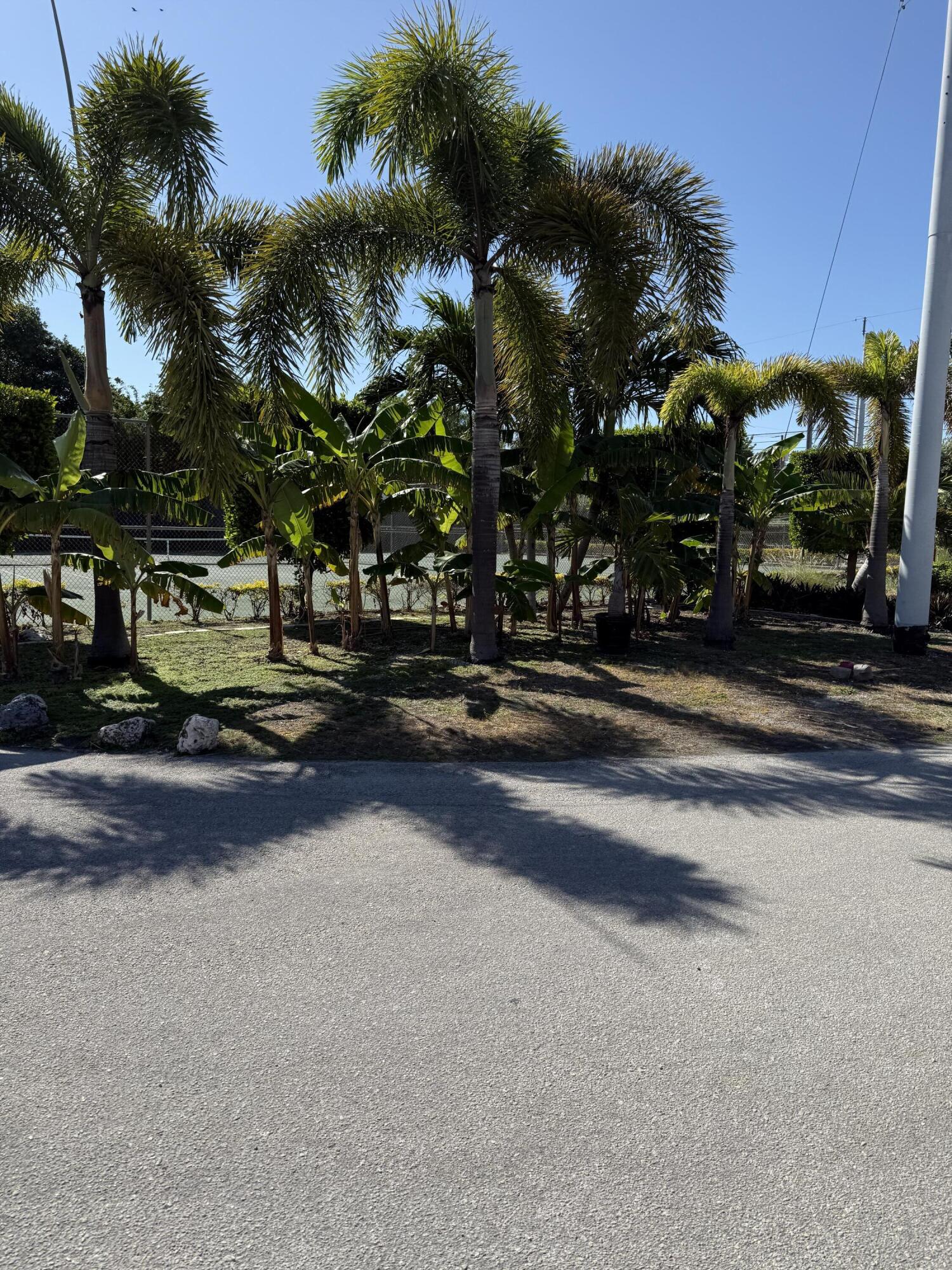 325 Calusa Street, Unit 393 Key Largo, FL 33037 - Photo 33 of 61 a view of street with houses