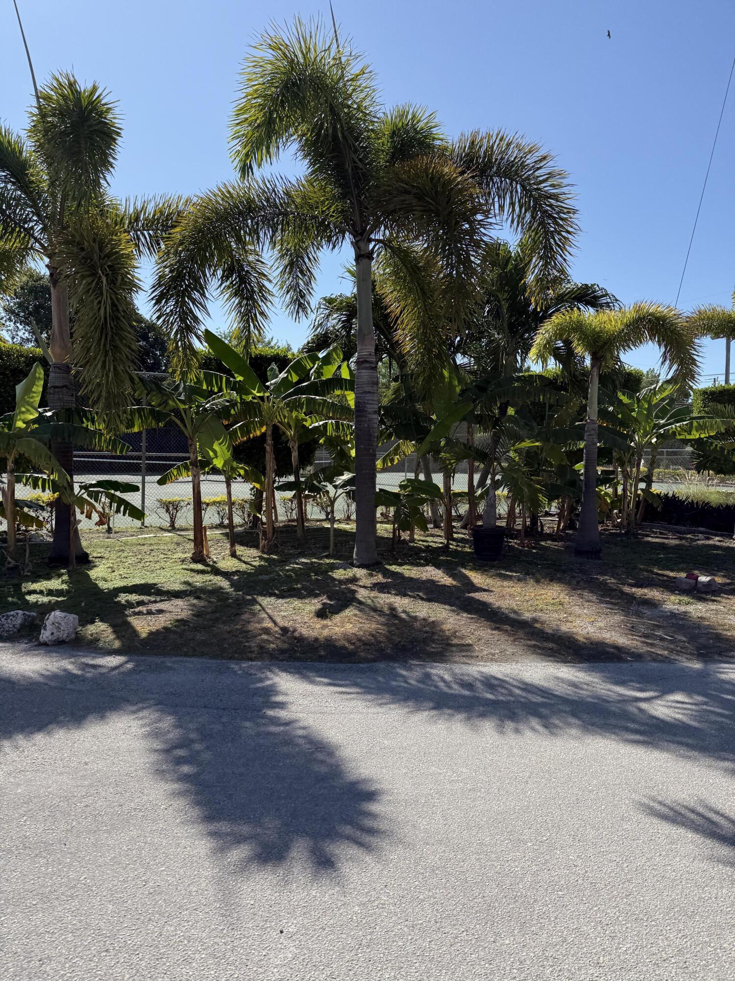 325 Calusa Street, Unit 393 Key Largo, FL 33037 - Photo 34 of 61 a view of street with houses