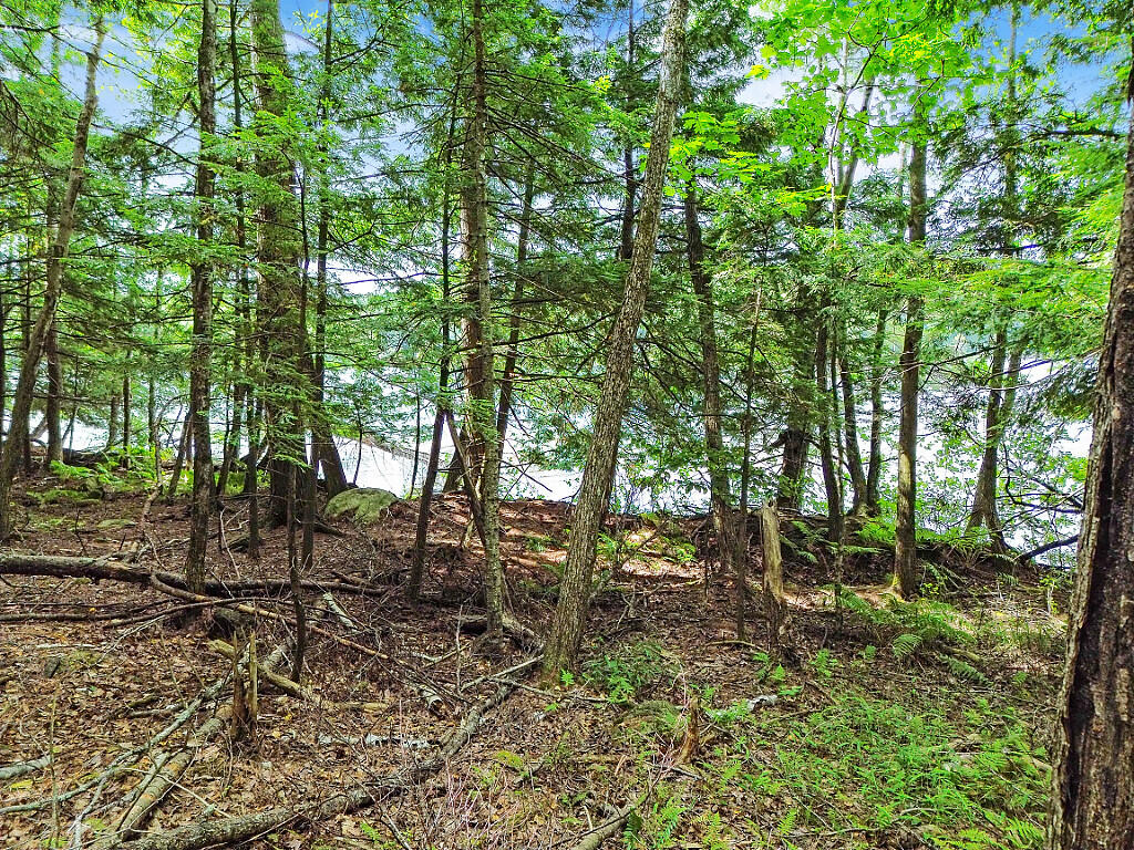 36 Torsey Shores Road Readfield, ME 04355 - Photo 3 of 30 24_DJI_0554_DxO_mls
