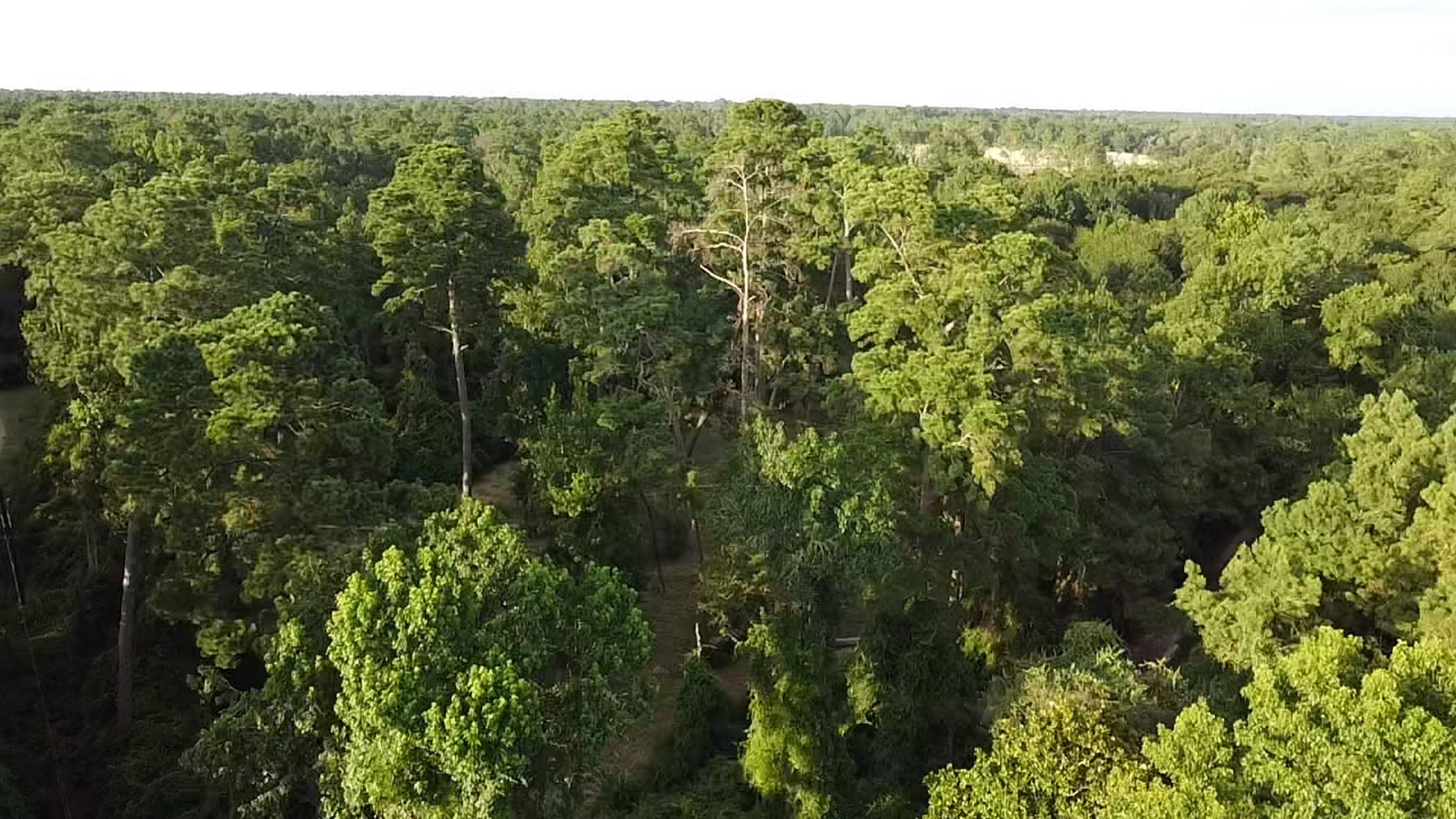 0 Prop Id 101208 Magnolia, TX 77355 - Photo 3 of 6 a view of a city