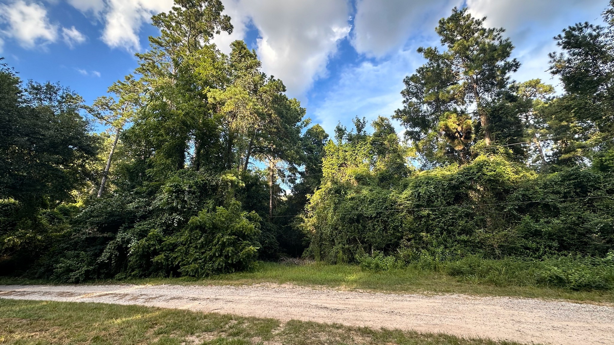 0 Prop Id 101208 Magnolia, TX 77355 - Photo 5 of 6 a view of swimming pool with a yard