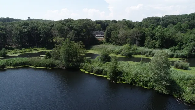 a house with lots of flowers in front of it