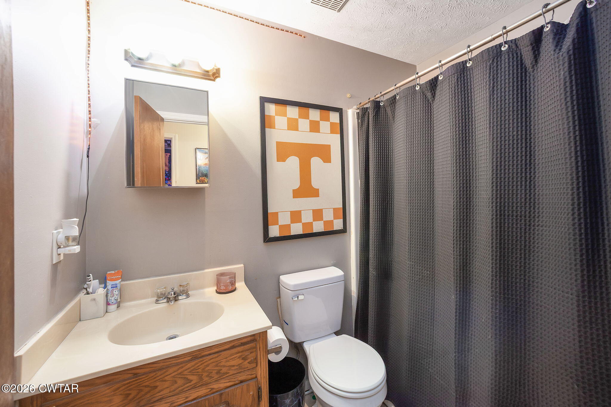 56 Ellendale Place Jackson, TN 38305 - Photo 18 of 23 a bathroom with a sink mirror vanity and toilet