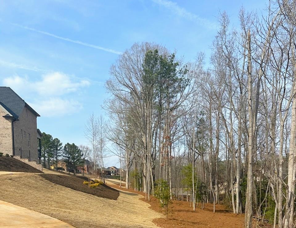 118 North Woodfin Ridge Drive Inman, SC 29349 - Photo 3 of 7