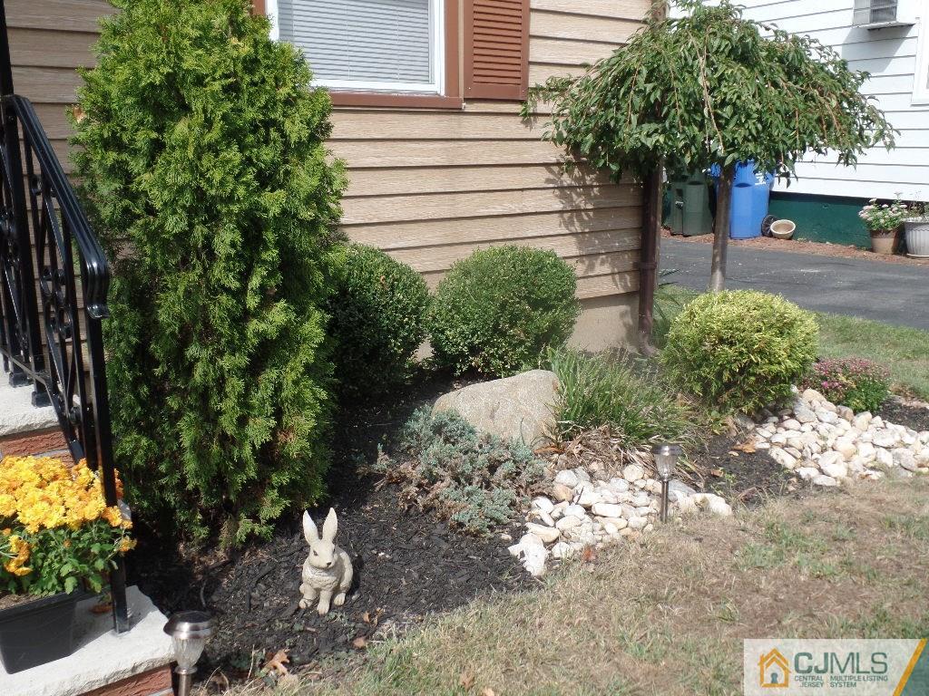 189 Midfield Road Colonia, NJ 07067 - Photo 2 of 16 a view of a yard with plants and flowers