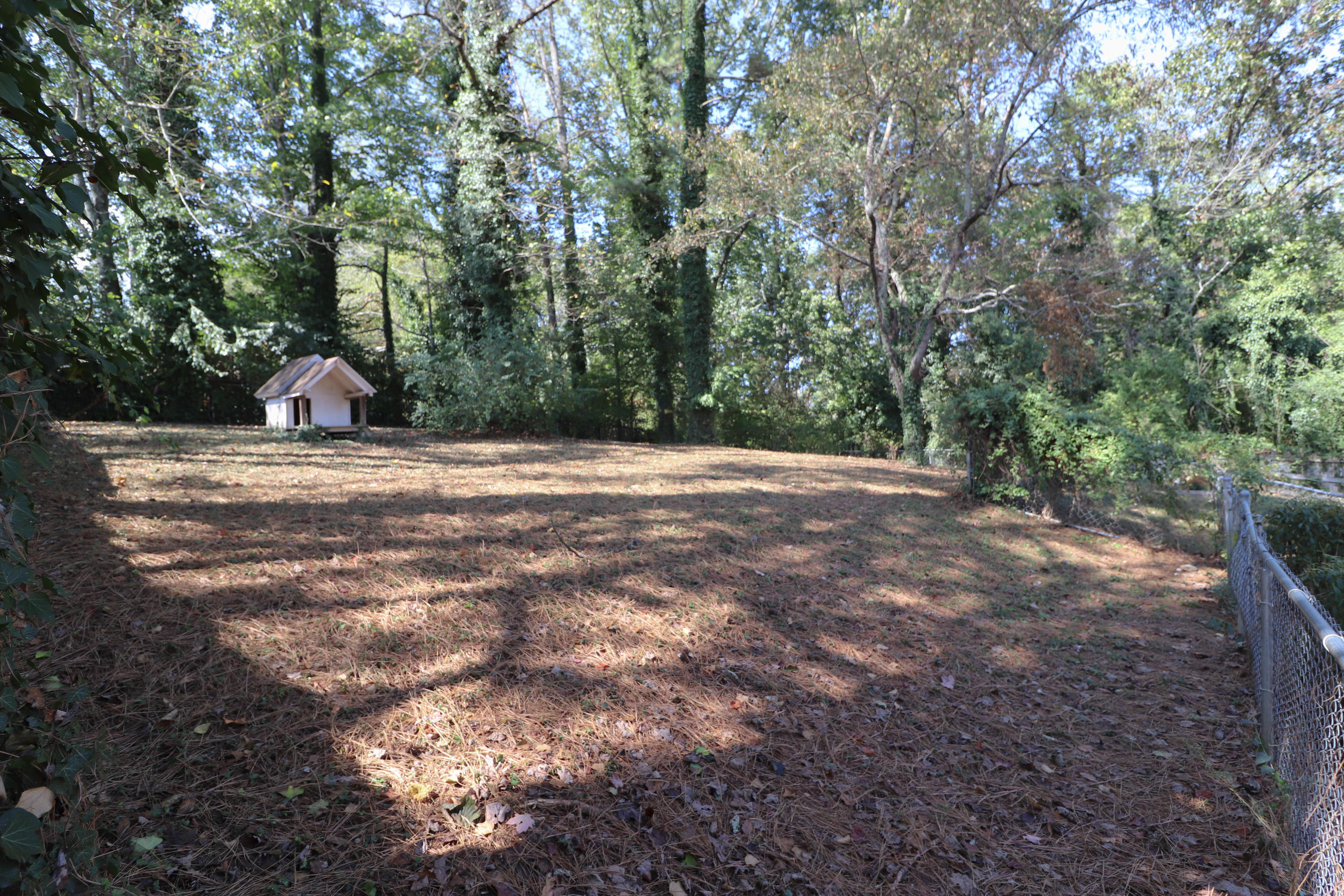 238 Outer Drive Oak Ridge, TN 37830 - Photo 3 of 20 IMG_8454