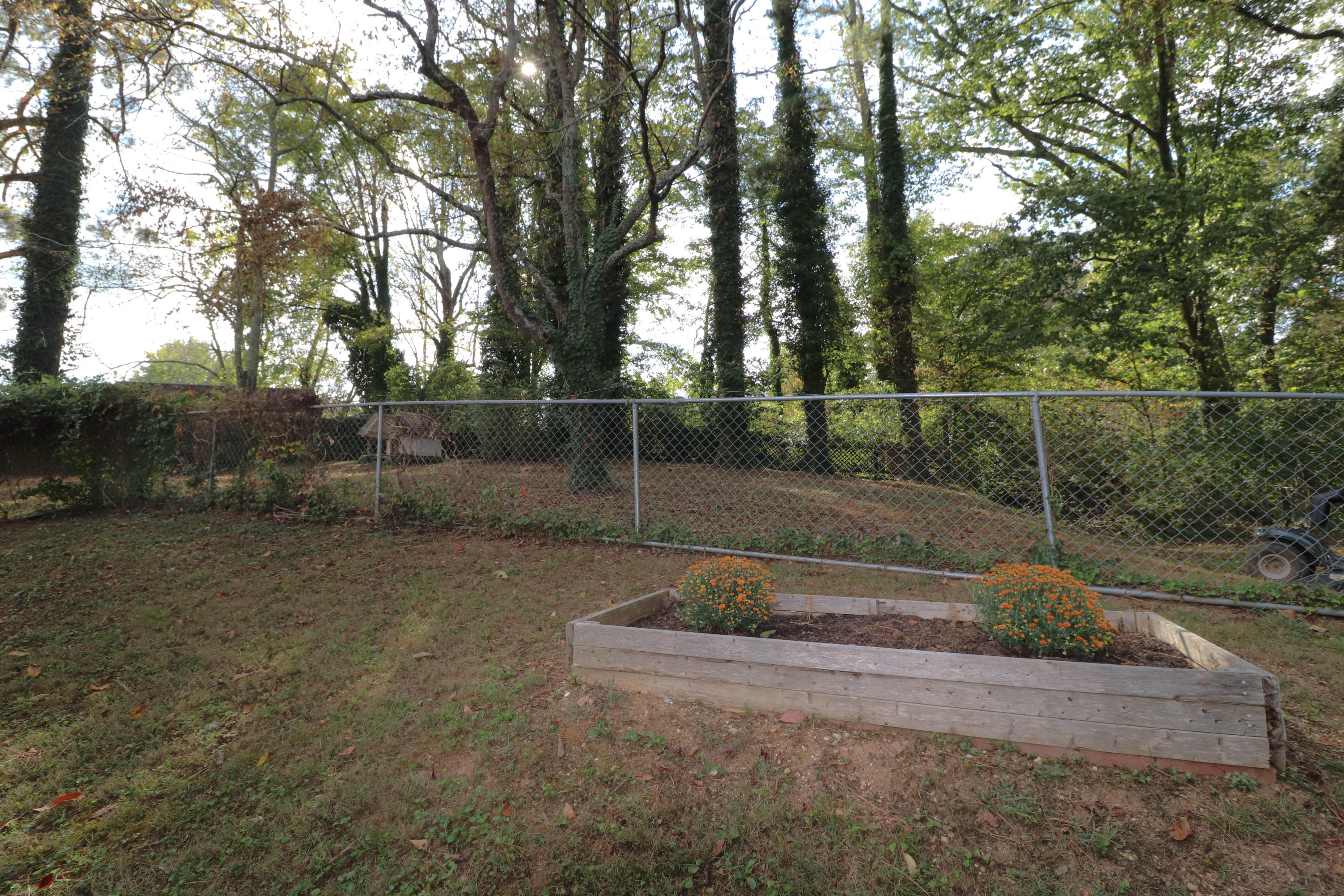 238 Outer Drive Oak Ridge, TN 37830 - Photo 7 of 20 IMG_8432
