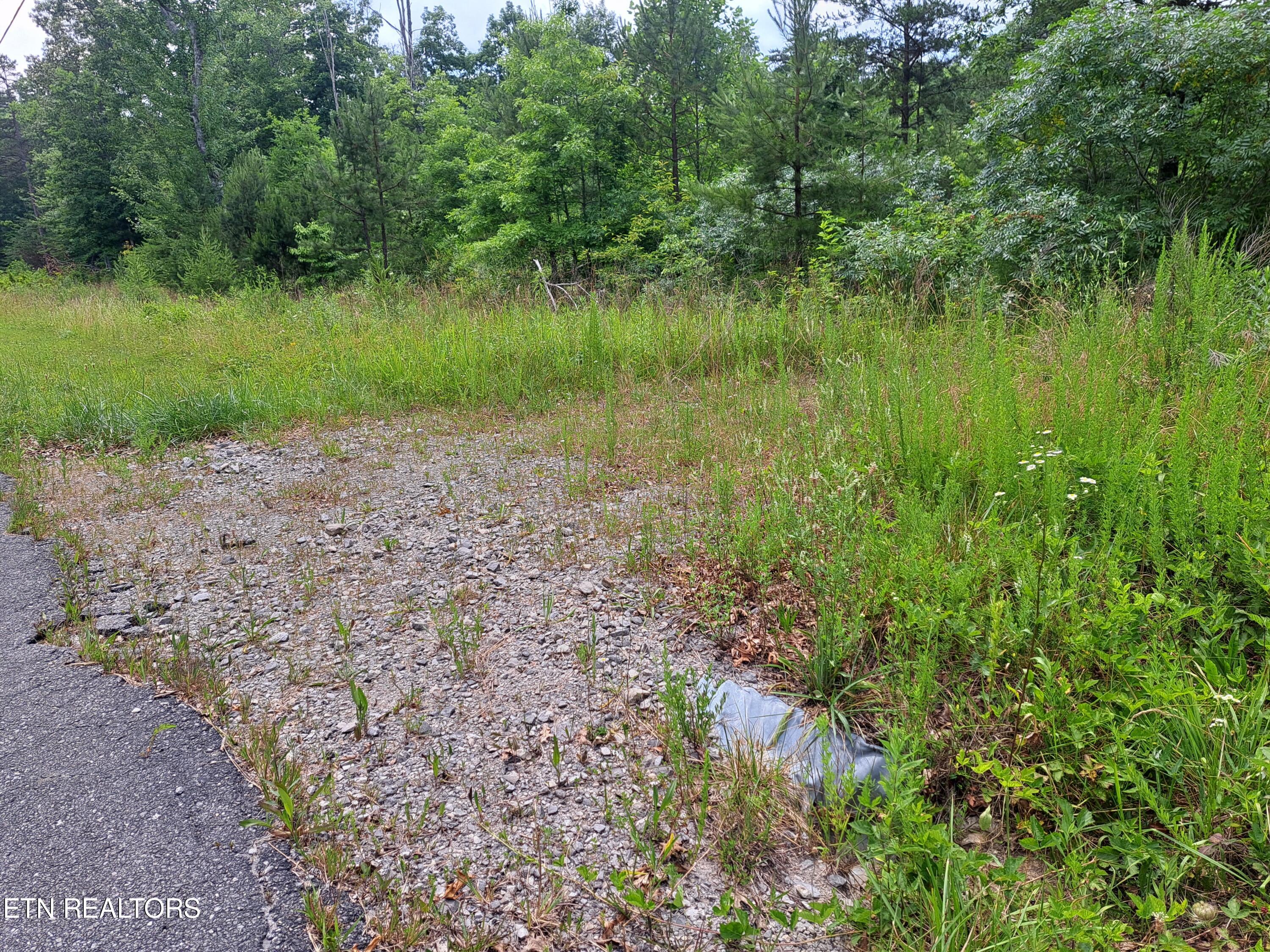 Shelby Way Clarkrange, TN 38553 - Photo 2 of 9 20240618_141832