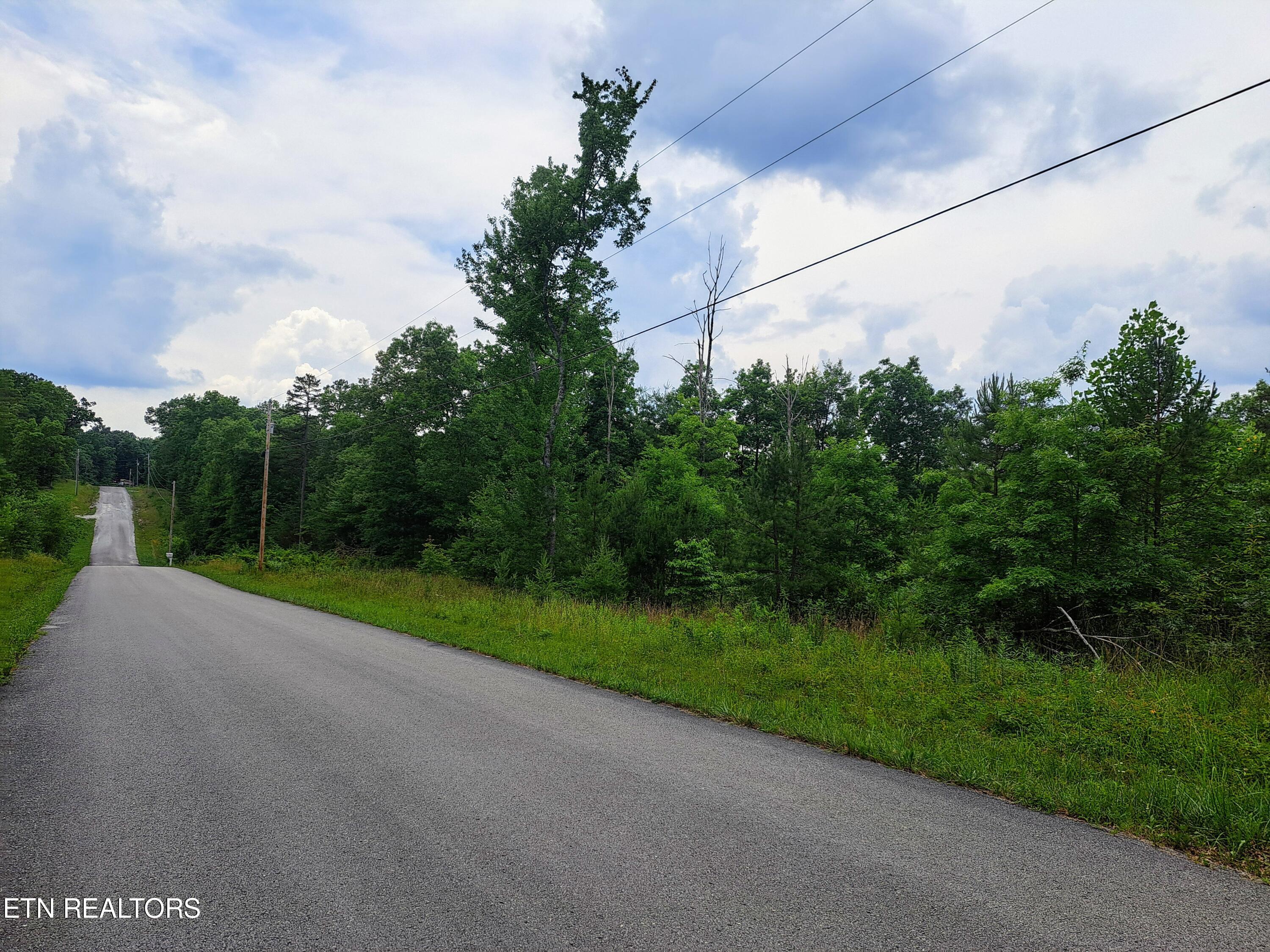 Shelby Way Clarkrange, TN 38553 - Photo 4 of 9 20240618_141849