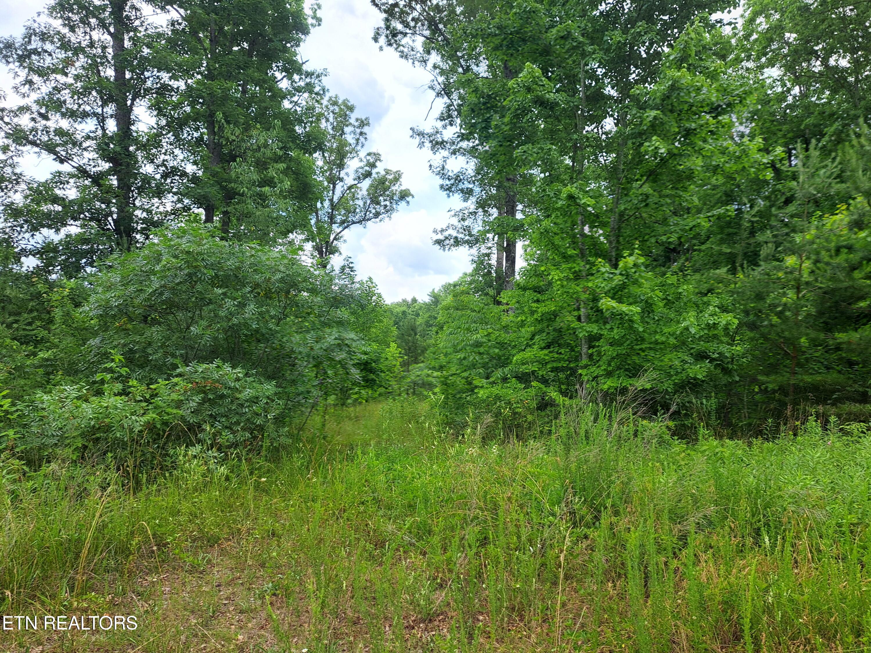 Shelby Way Clarkrange, TN 38553 - Photo 6 of 9 20240618_141903