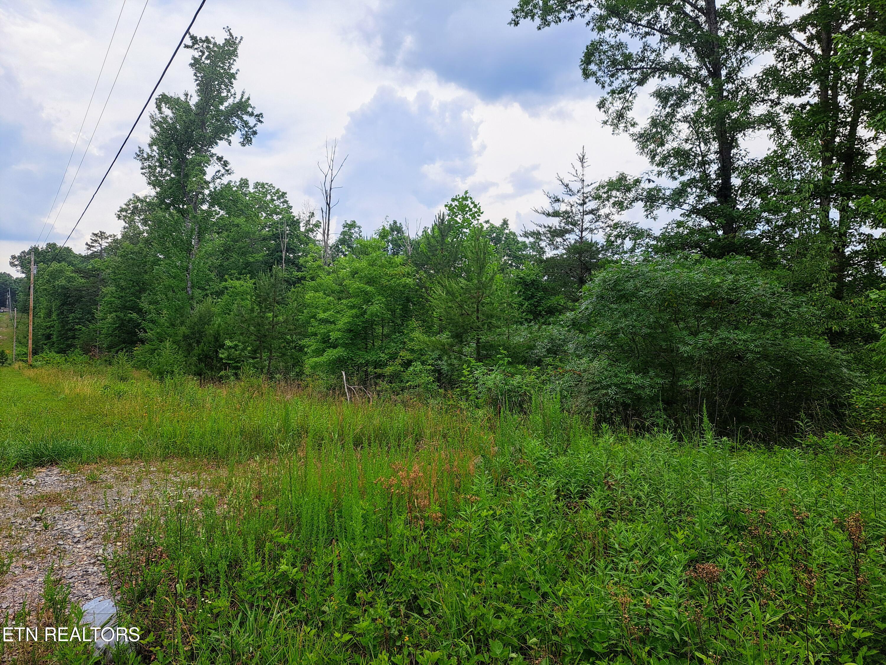 Shelby Way Clarkrange, TN 38553 - Photo 8 of 9 20240618_141923