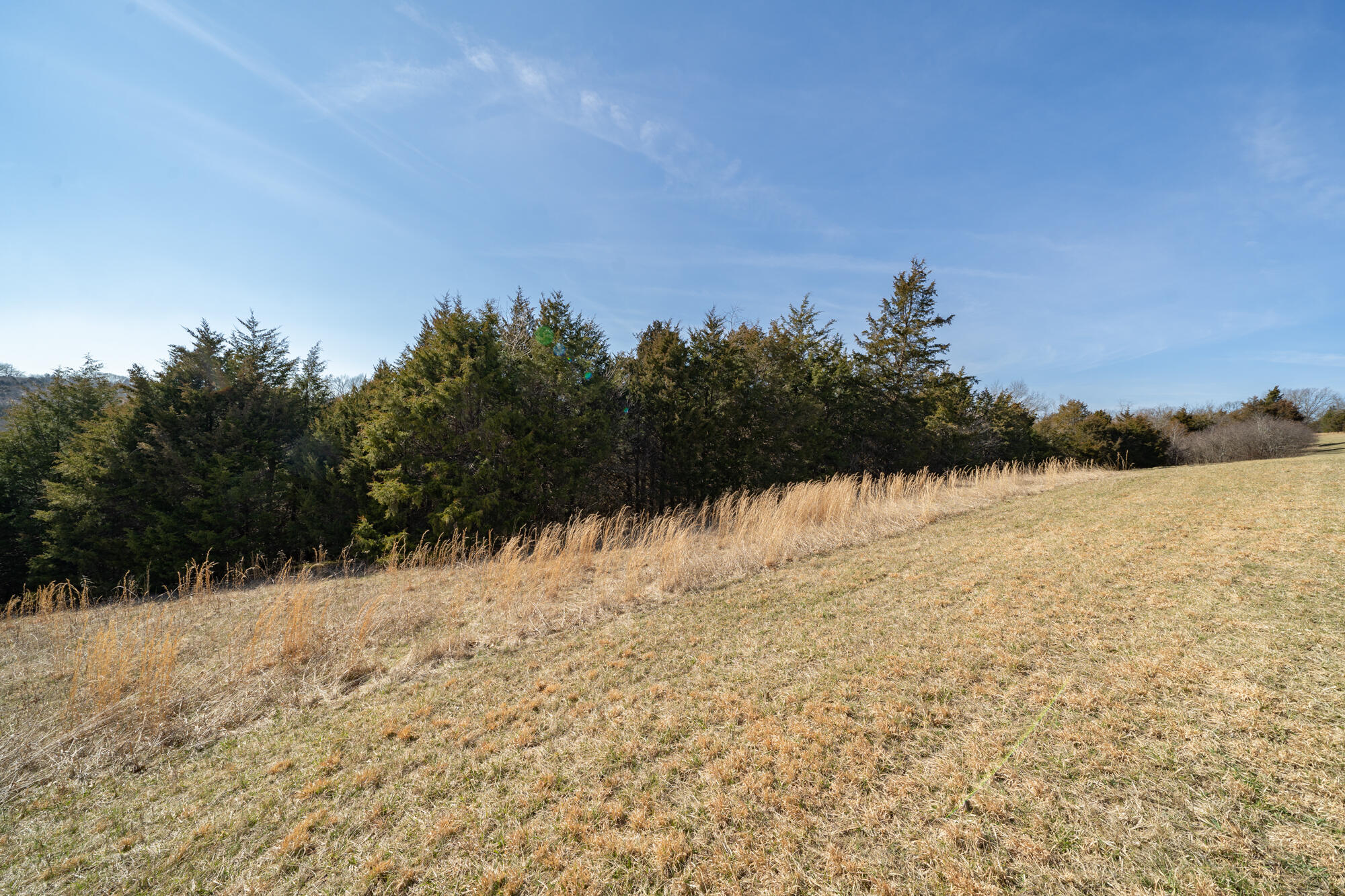 17.67-ac Fork Lick Road Corinth, KY 41010 - Photo 17 of 18 Gallery Image 17