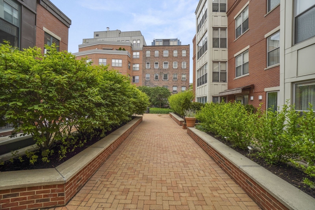 35 Fay Street, Unit 202 Boston, MA 02118 - Photo 12 of 17