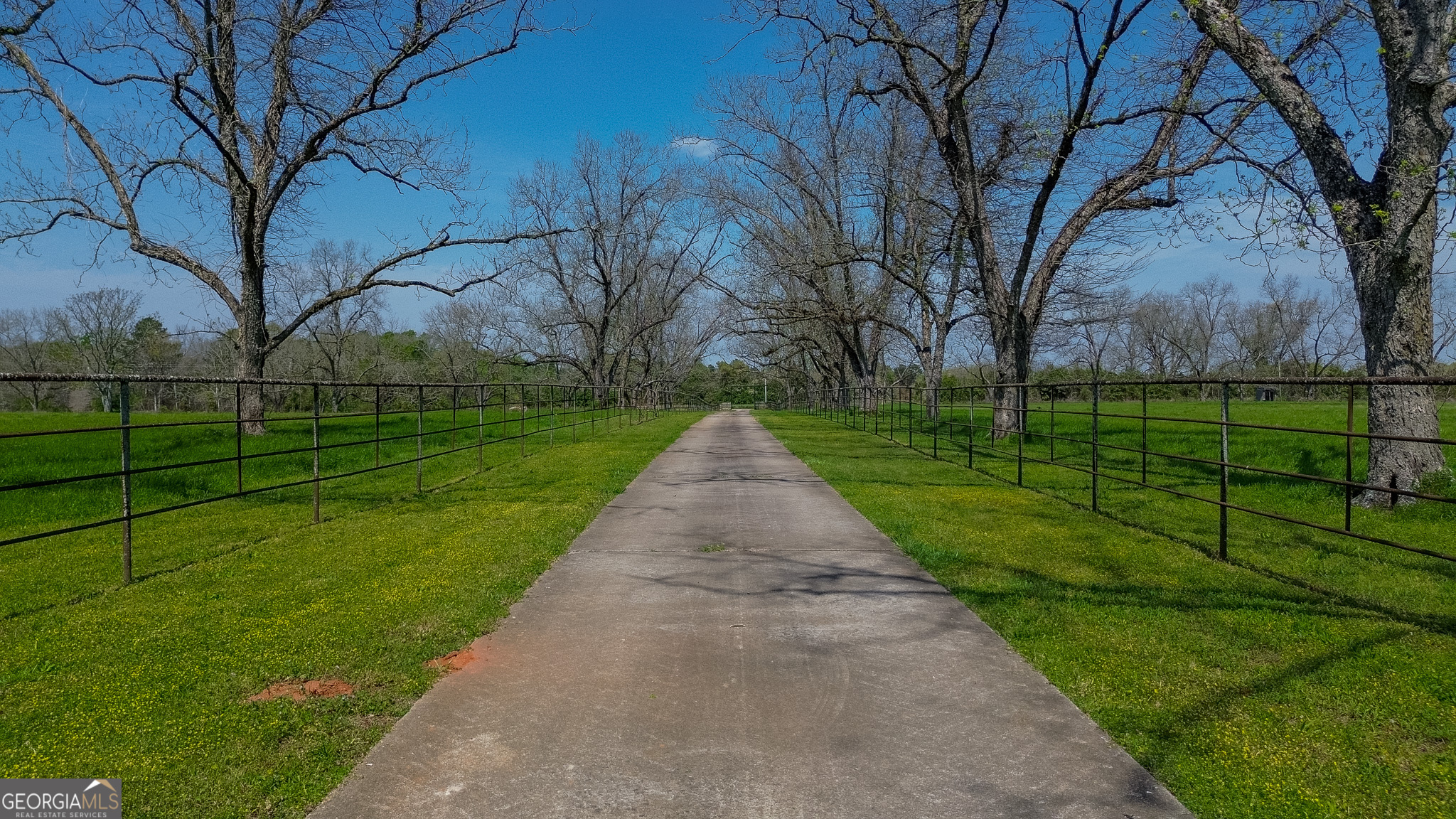 662 Red Hill Road Richland, GA 31825 - Photo 1 of 38