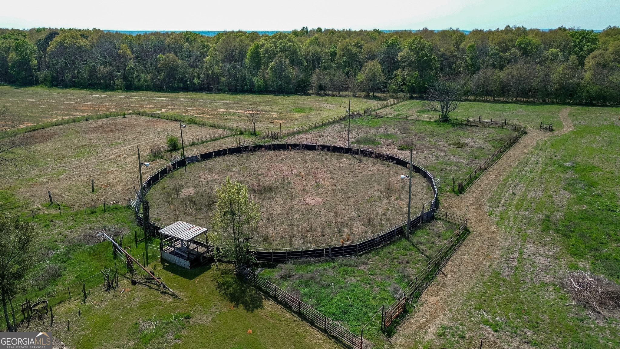 662 Red Hill Road Richland, GA 31825 - Photo 29 of 38