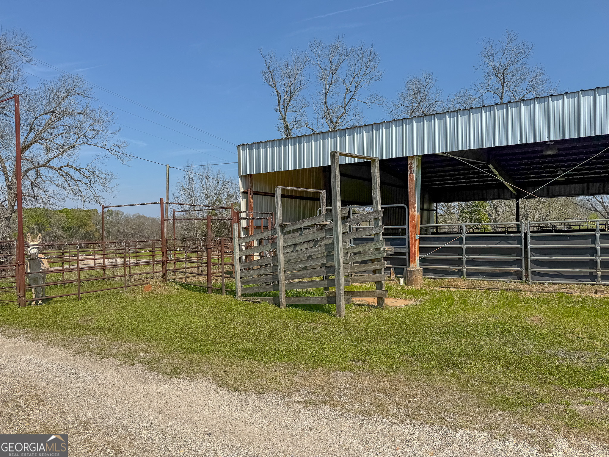 662 Red Hill Road Richland, GA 31825 - Photo 30 of 38