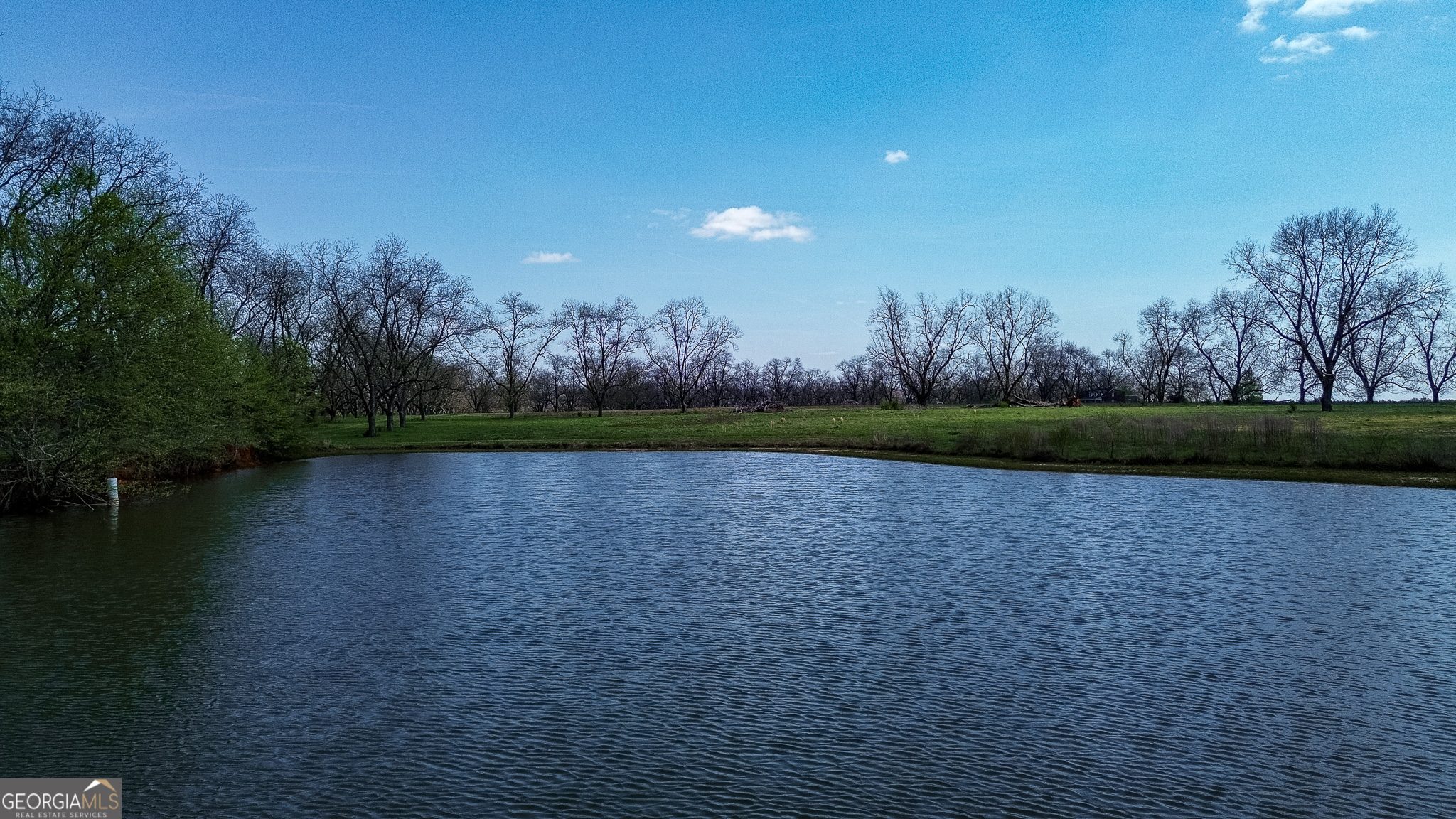 662 Red Hill Road Richland, GA 31825 - Photo 35 of 38