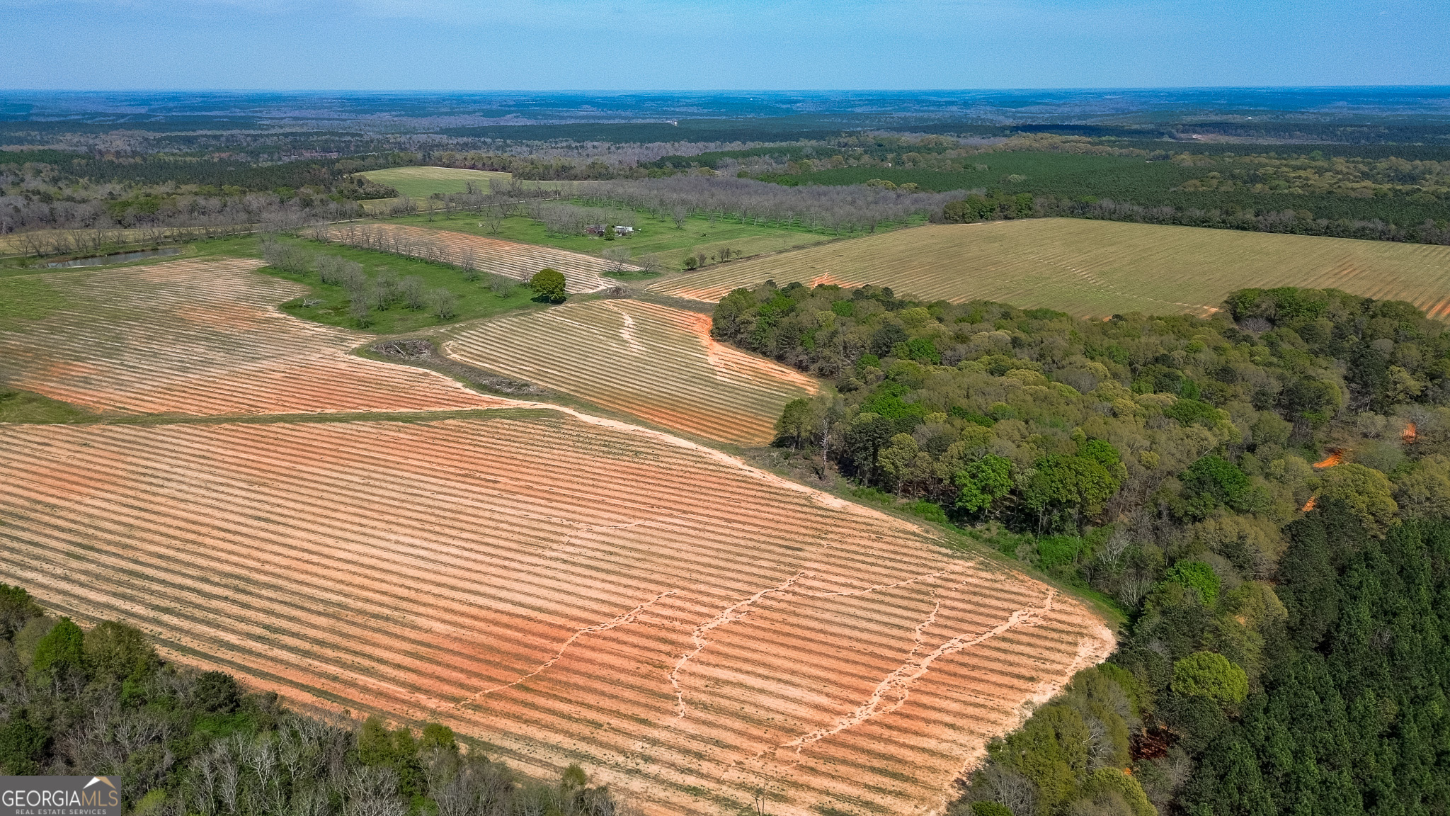 662 Red Hill Road Richland, GA 31825 - Photo 36 of 38