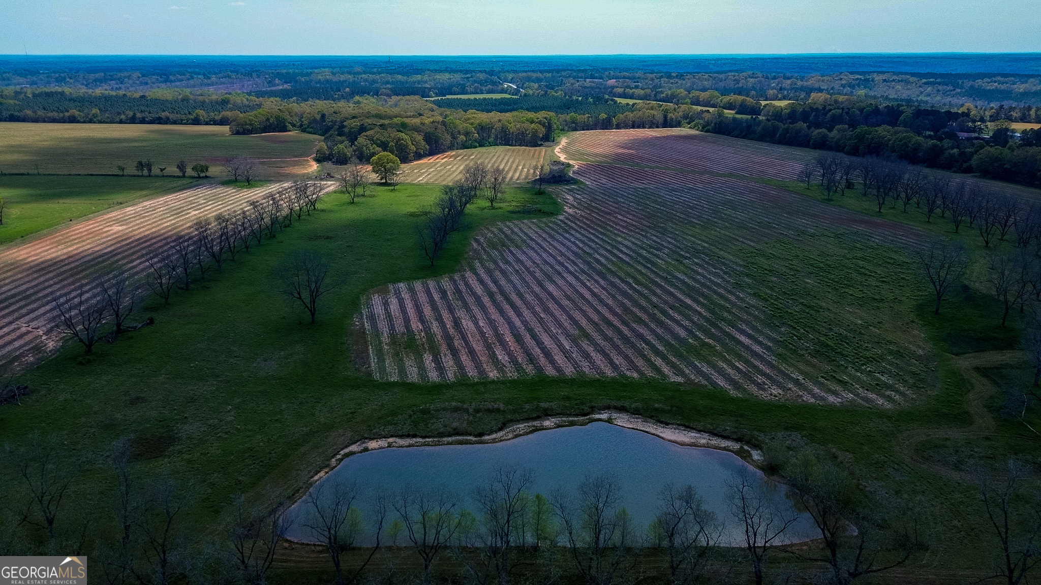 662 Red Hill Road Richland, GA 31825 - Photo 7 of 38