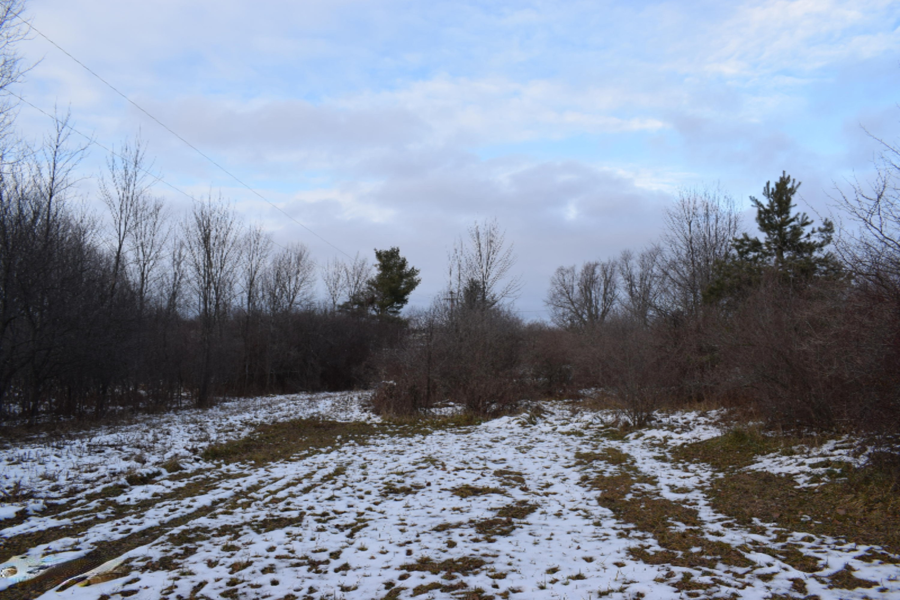 8373 Lyman Road Kaleva, MI 49645 - Photo 3 of 9 DSC_0002