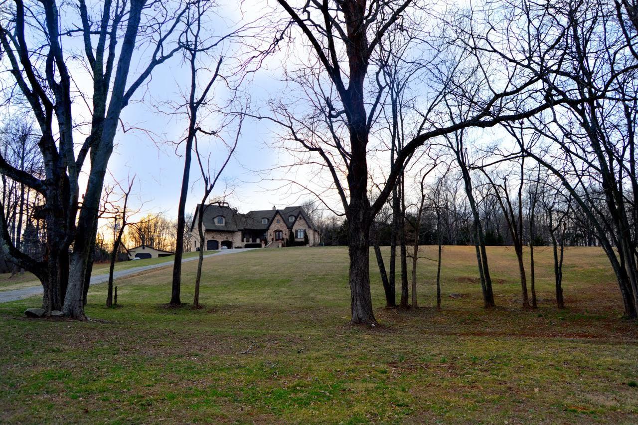 5972 Bethlehem Road Springfield, TN 37172 - Photo 5 of 29 a view of yard with trees