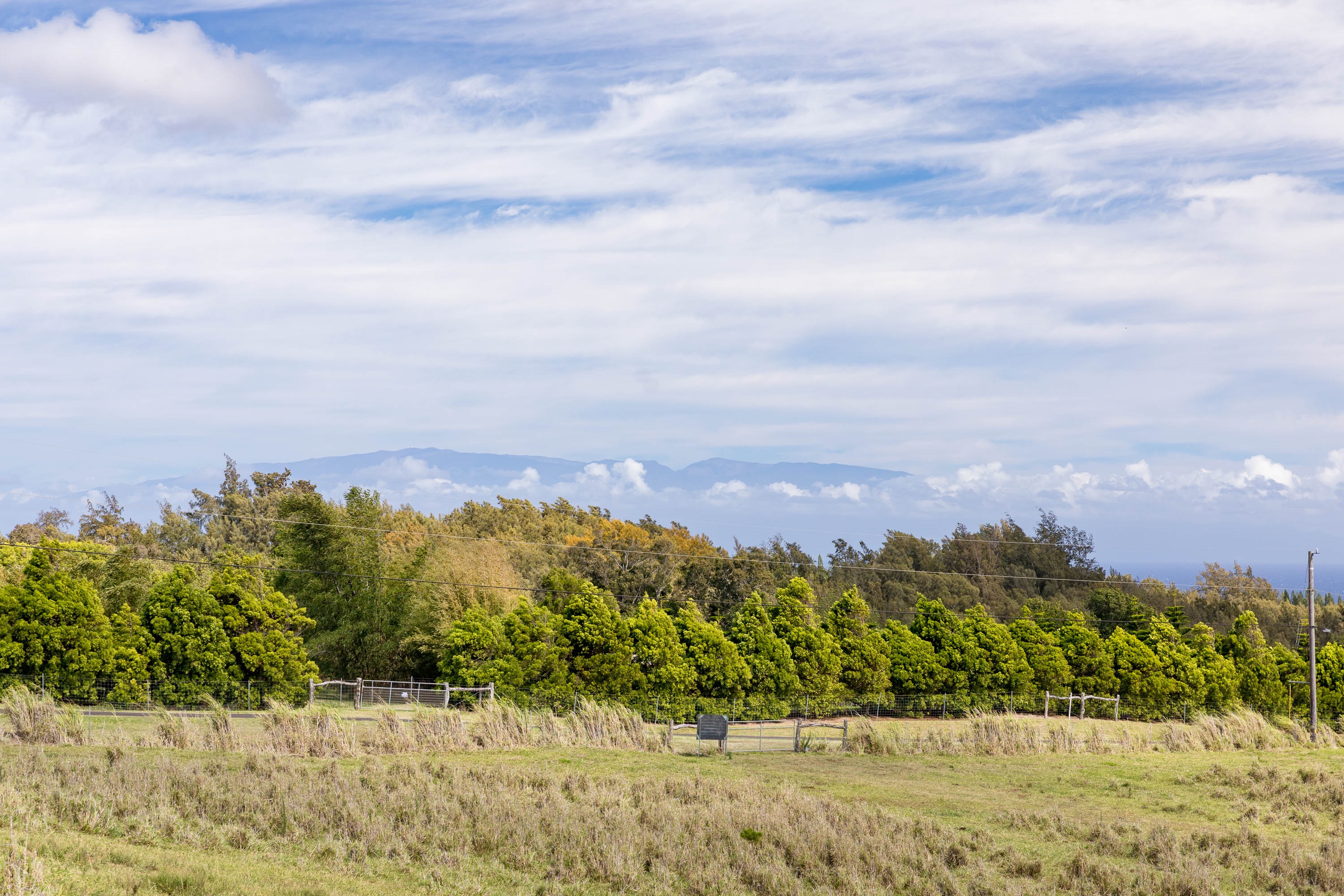 2 A Hall Road Kapaau, HI 96755 - Photo 9 of 14