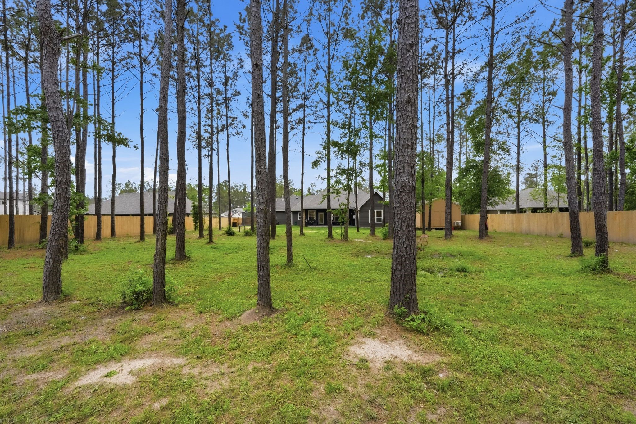13331 Wichita Fall Trail Road Conroe, TX 77303 - Photo 21 of 22 Expansive backyard with mature trees, offering space, privacy, and room to make it your own.