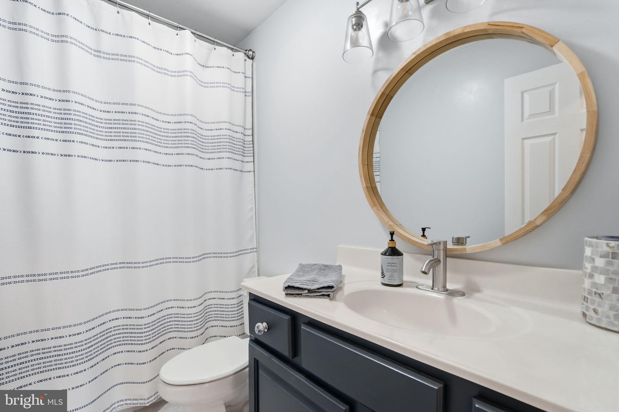2171 Towles Road Midland, VA 22728 - Photo 37 of 58 a bathroom with a sink and a mirror