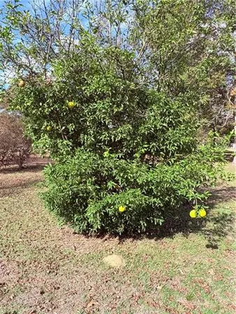 $265,000 | 211 Big Island Loop, Deville, LA 71328